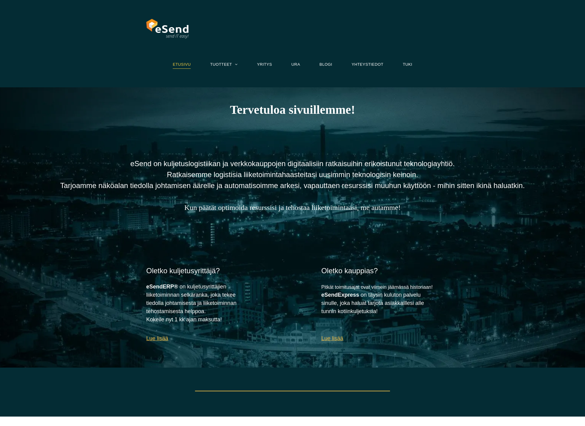 Screenshot for esenderp.fi