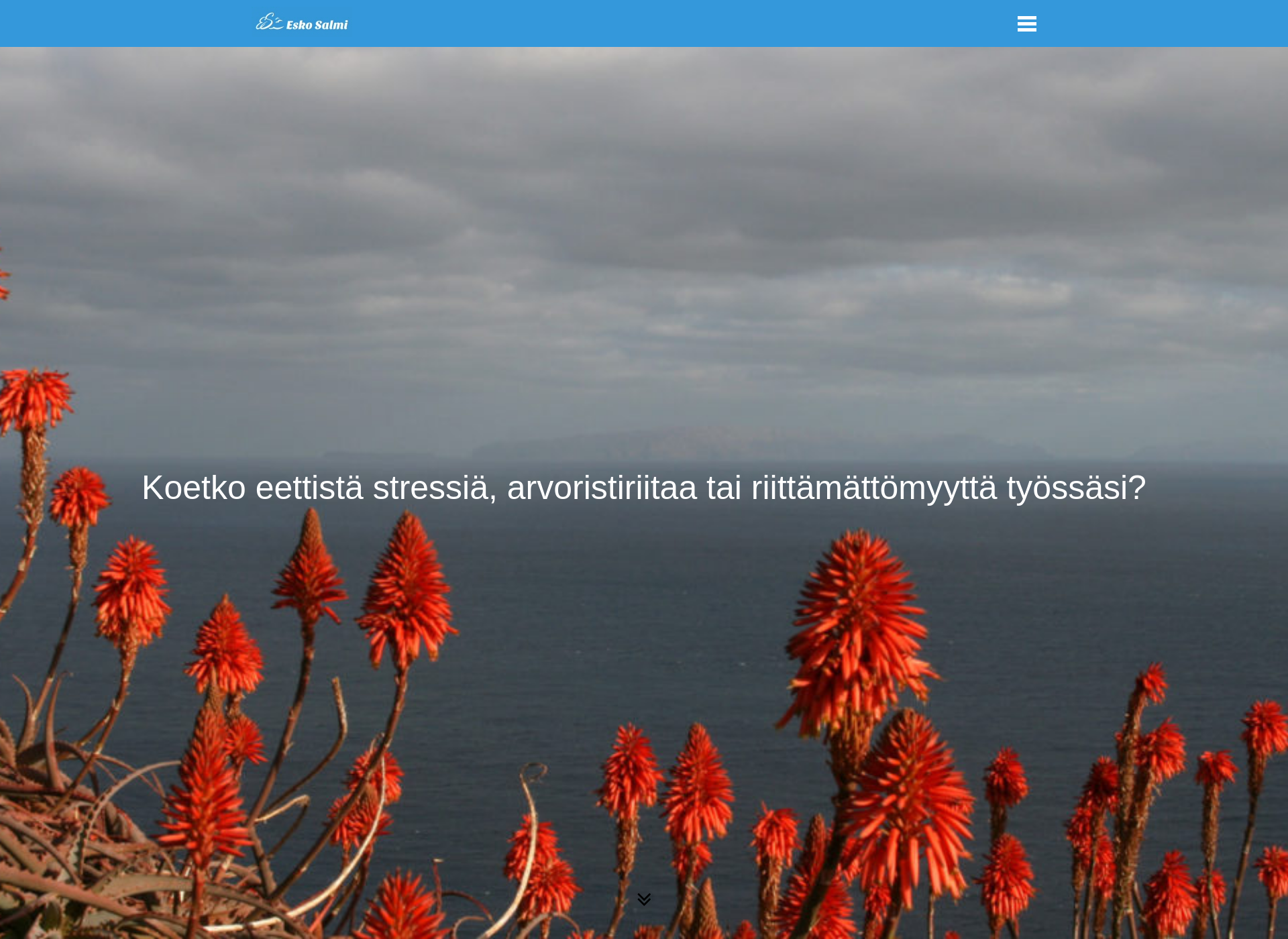 Screenshot for eskosalmi.fi