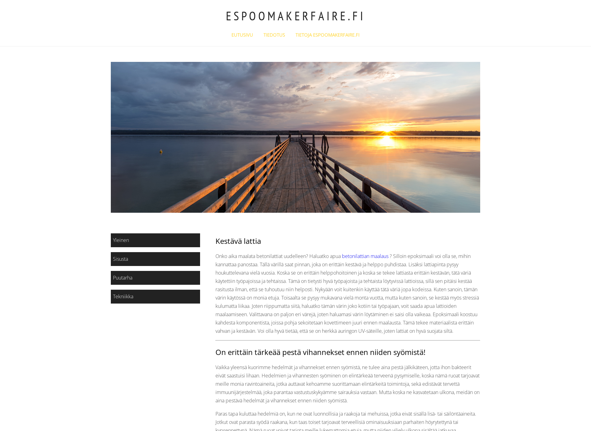 Screenshot for espoomakerfaire.fi