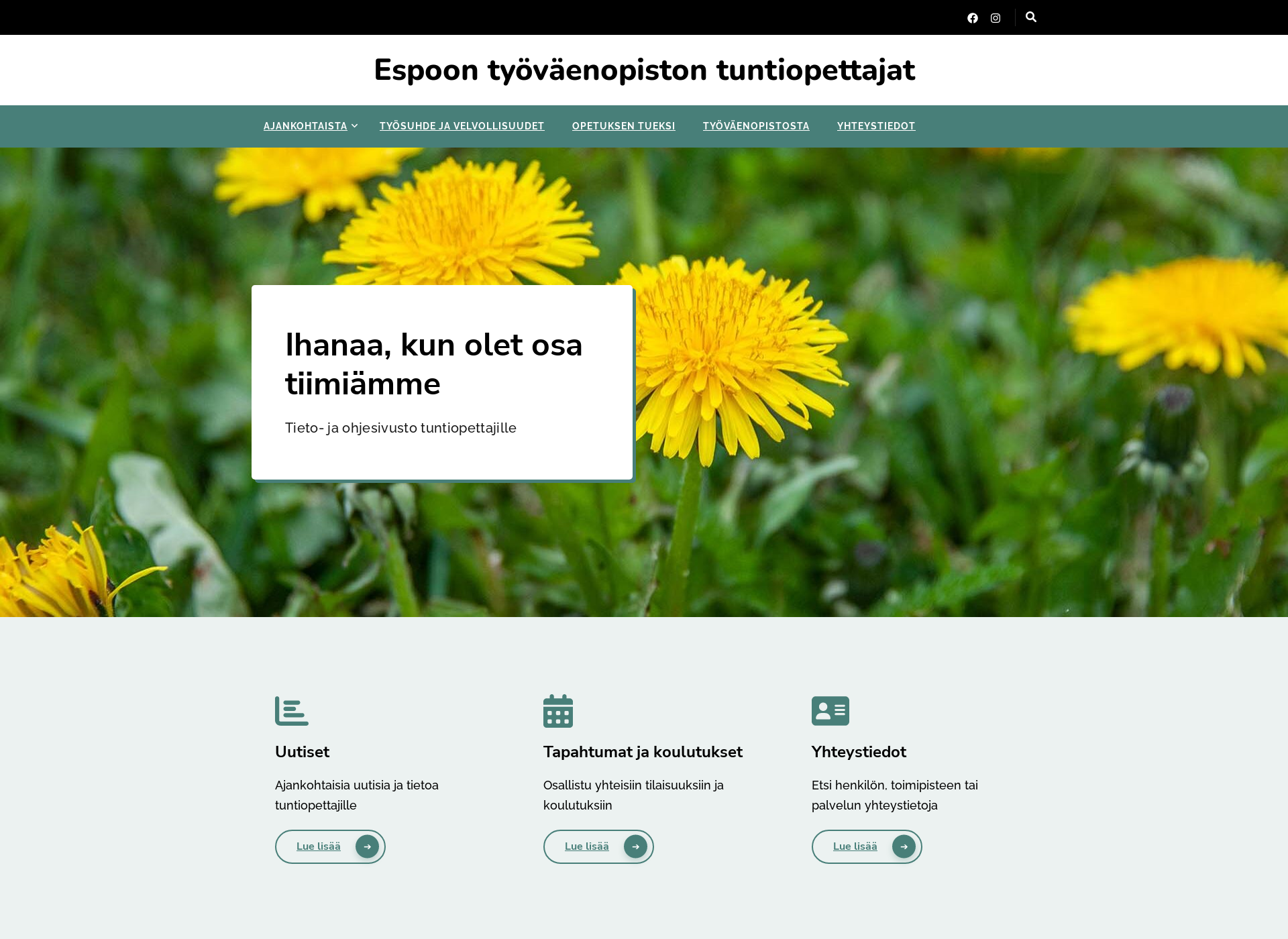 Screenshot for espoontyovaenopistontuntiopettajat.fi