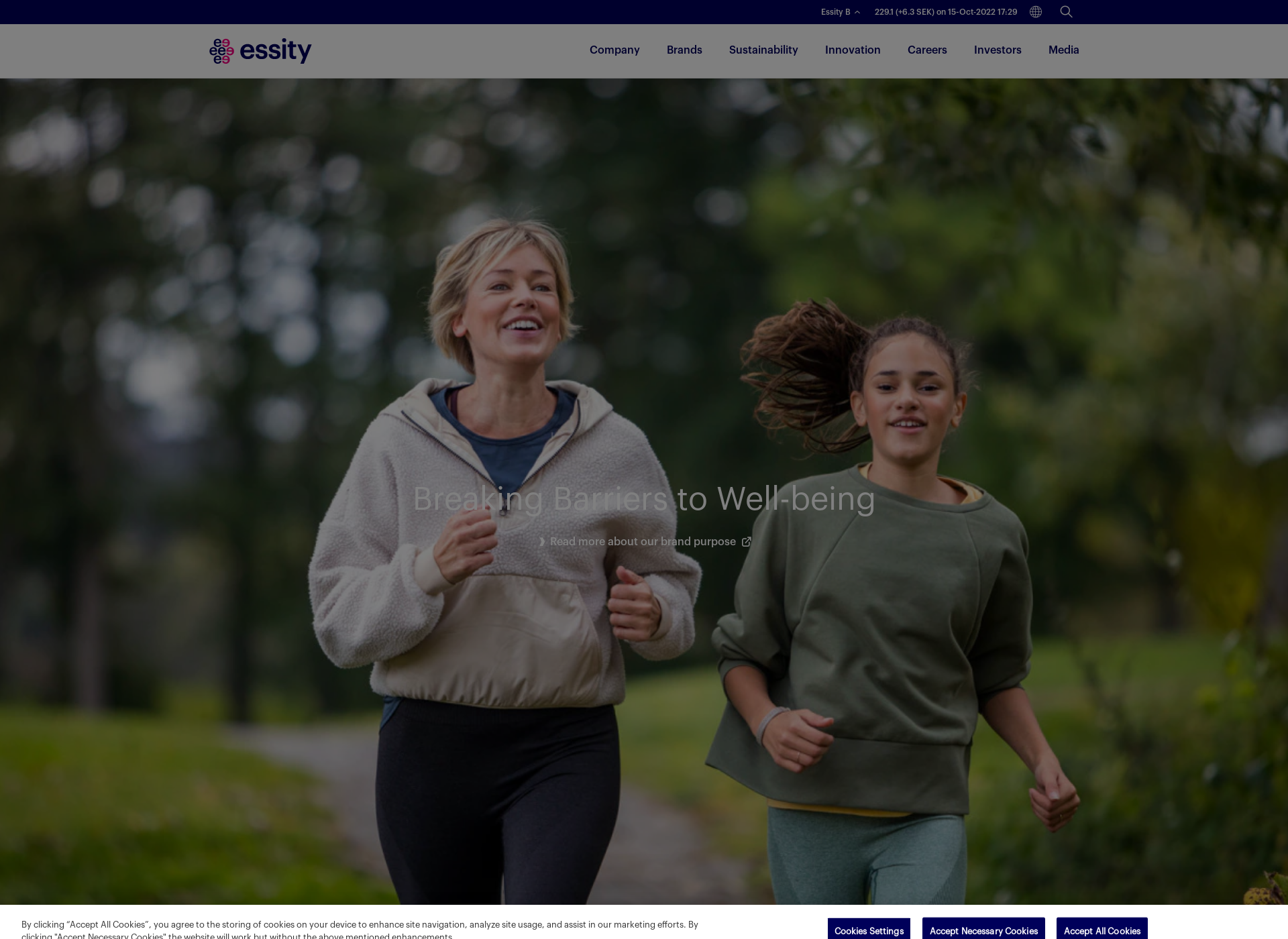 Screenshot for essity.fi