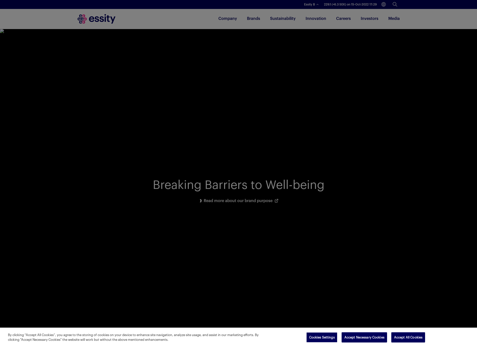 Screenshot for essitykauppa.fi