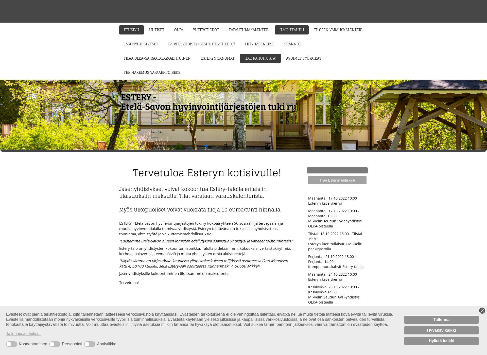 Screenshot for estery.fi