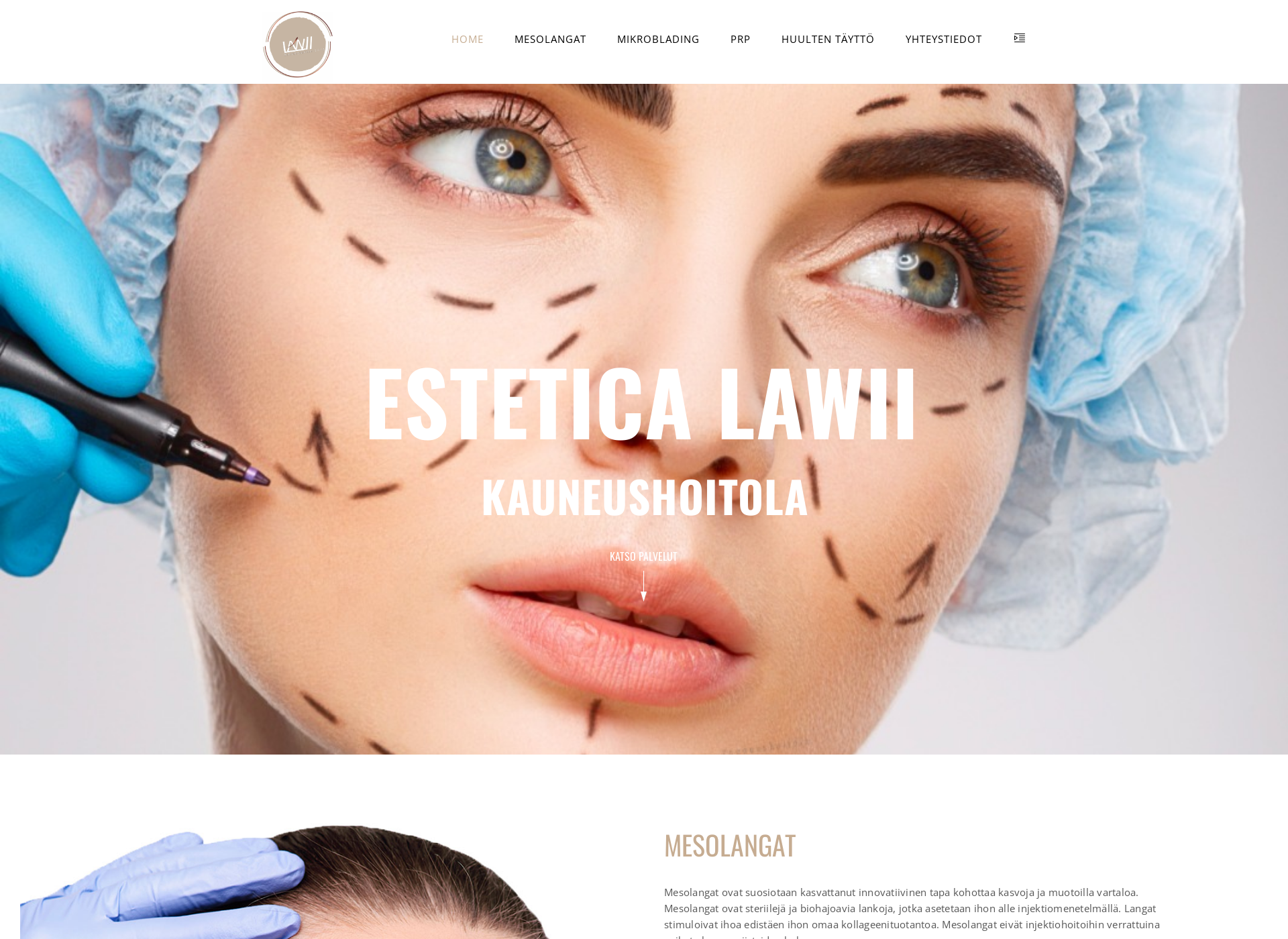 Skärmdump för esteticalawii.fi