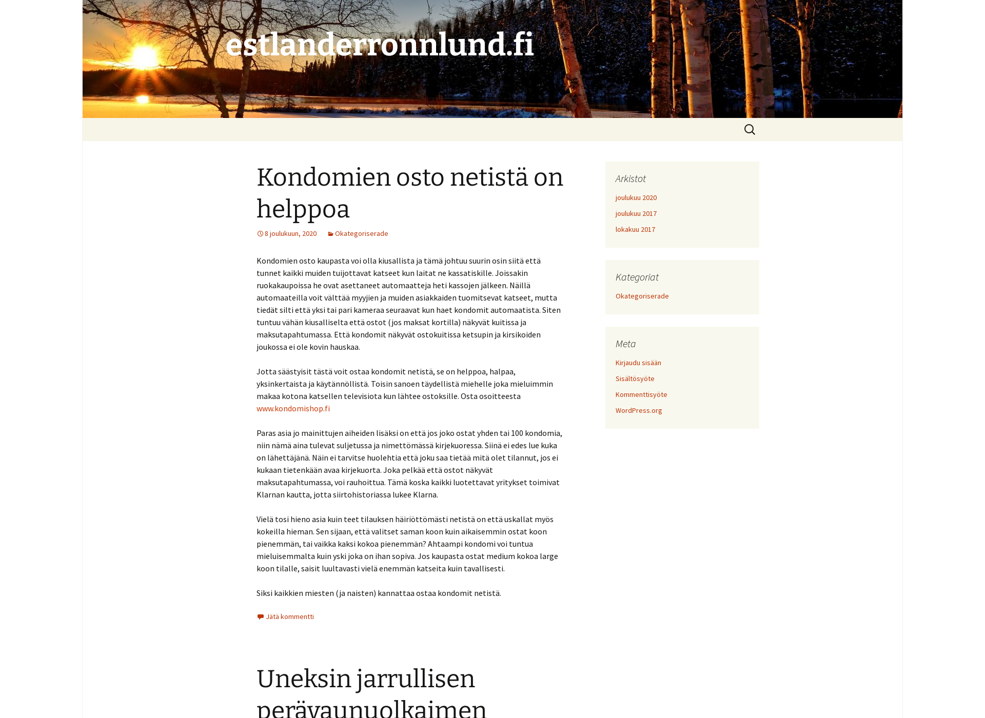 Screenshot for estlanderronnlund.fi