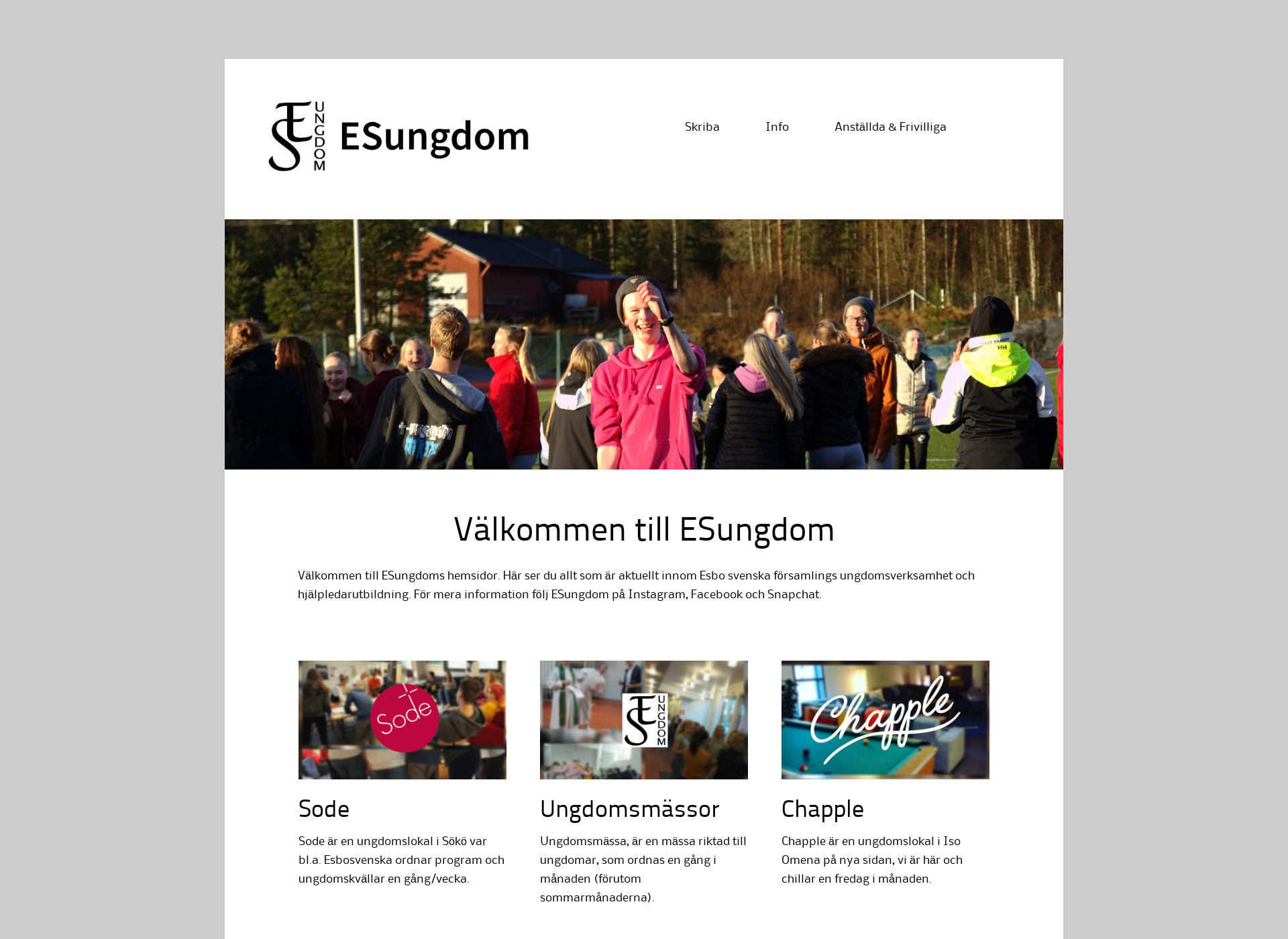 Screenshot for esungdom.fi