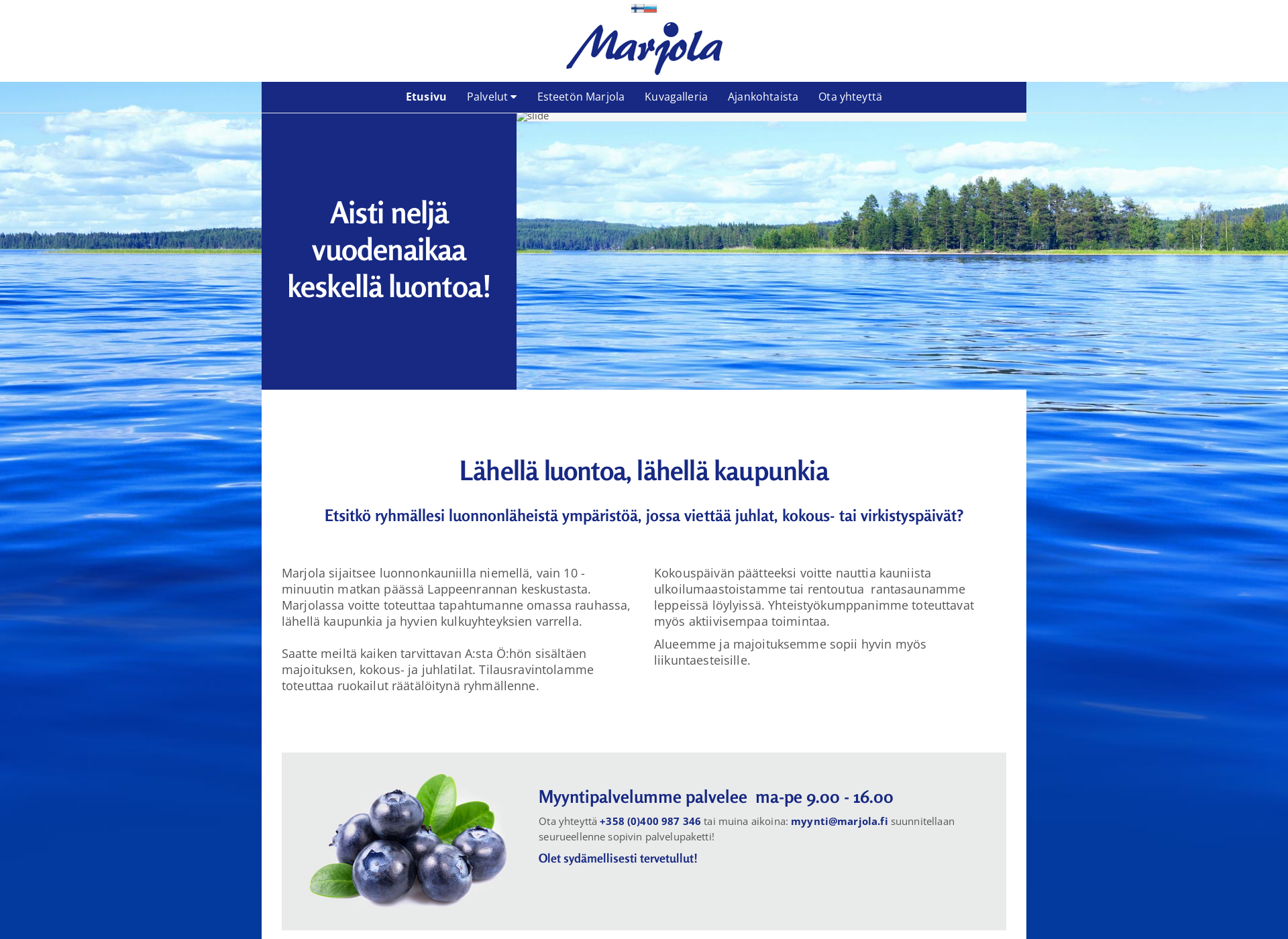 Screenshot for etela-saimaaninvalidit.fi