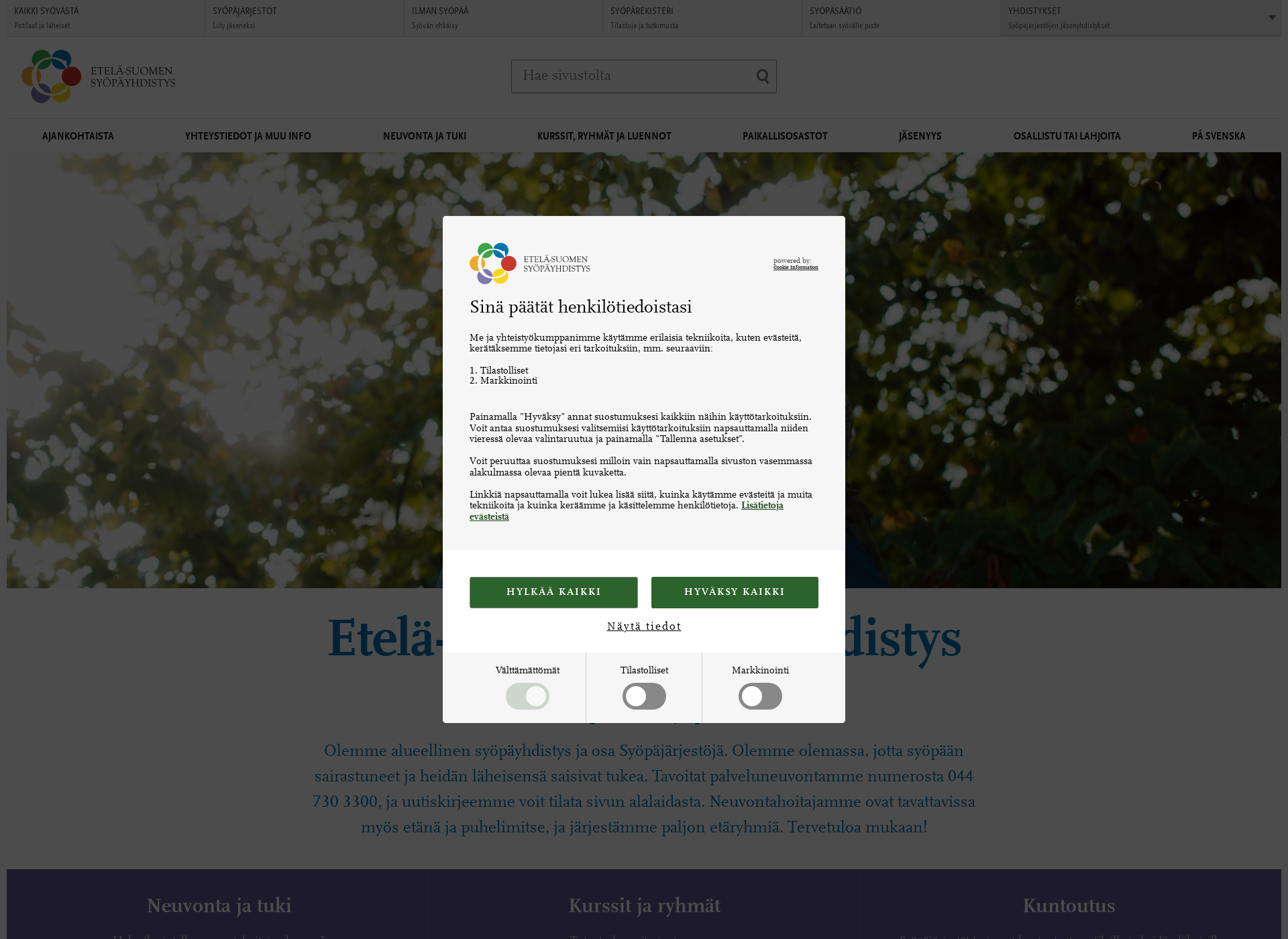 Screenshot for etela-suomensyopayhdistys.fi