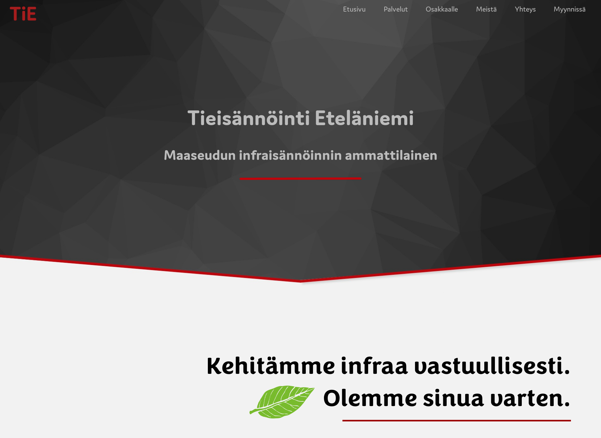 Skärmdump för etelaniemi.fi