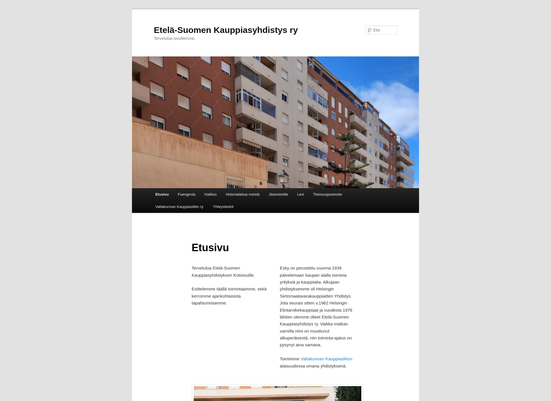 Screenshot for etelsky.fi