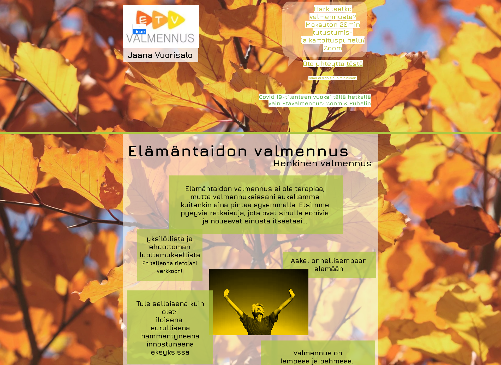 Screenshot for etv-valmennus.fi