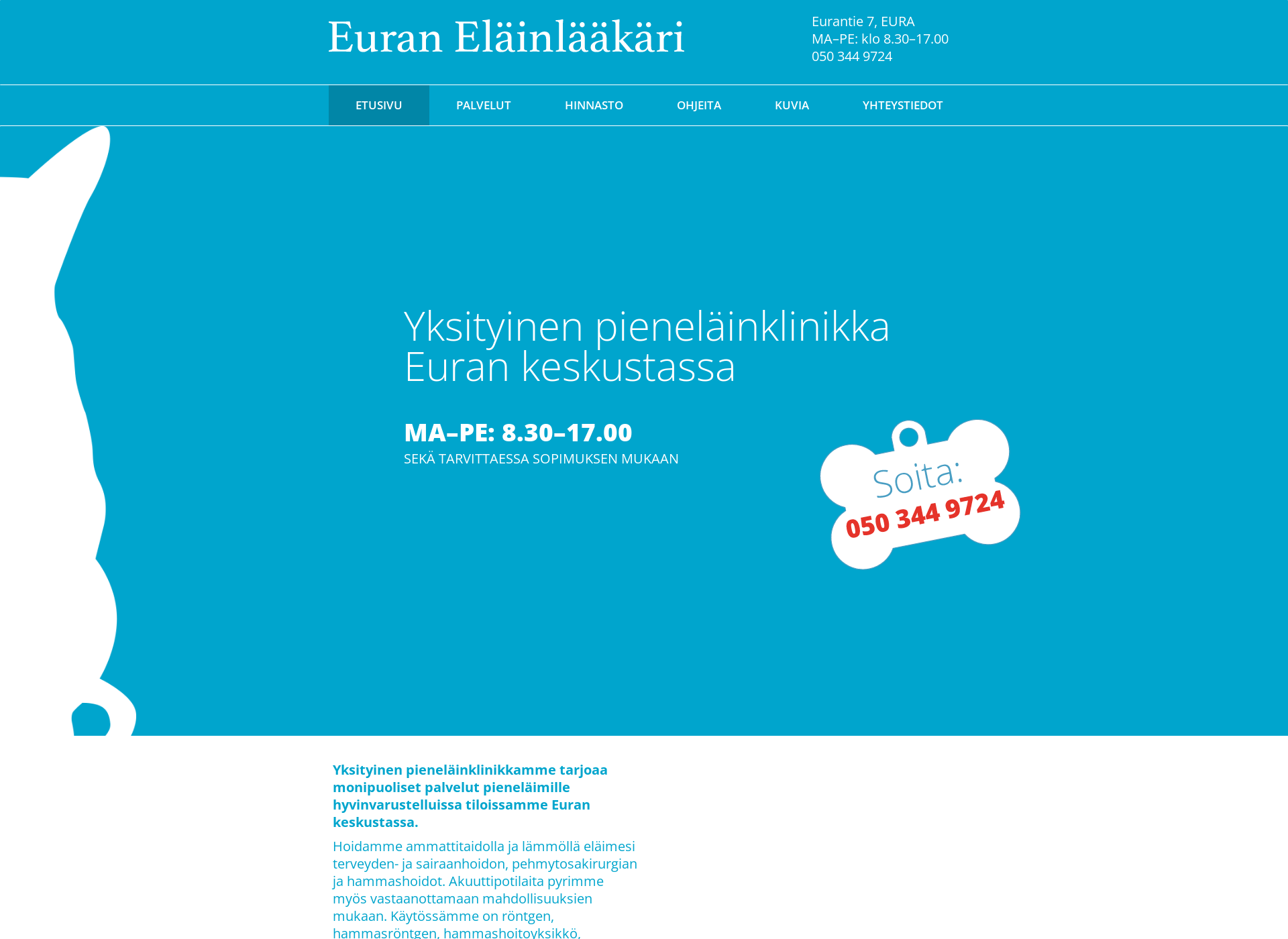 Screenshot for euranelainlaakari.fi