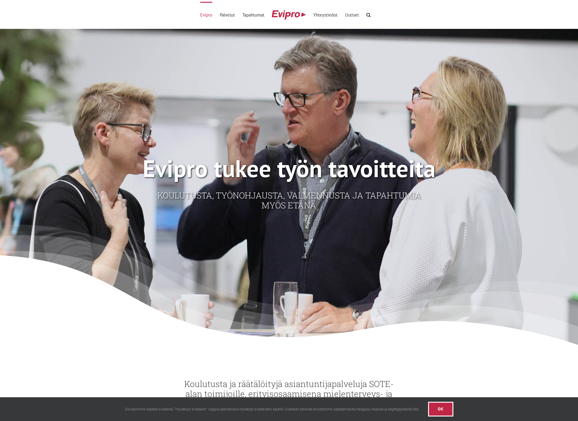 Screenshot for evipro.fi