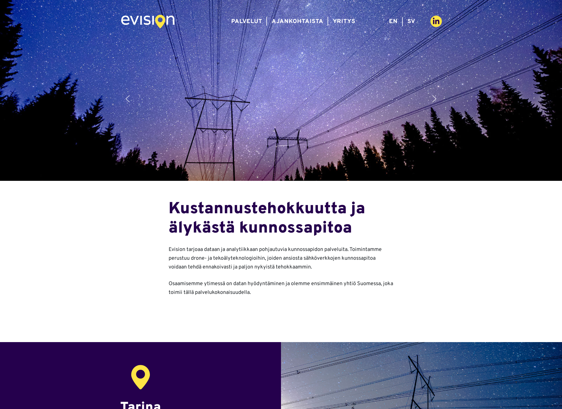 Screenshot for evision.fi