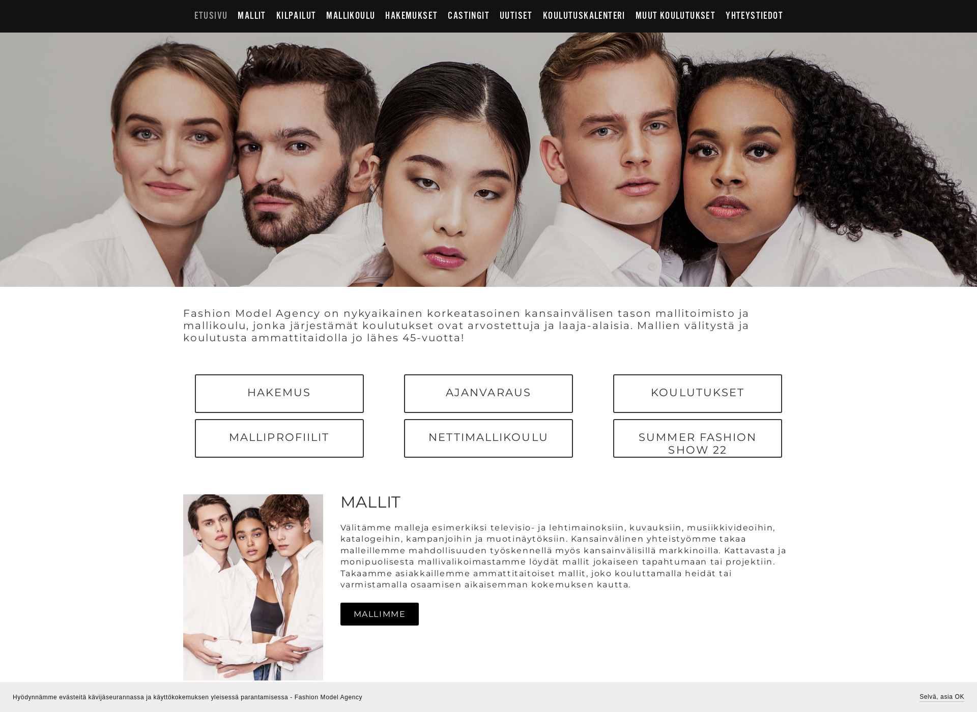 Screenshot for fashionmodel.fi