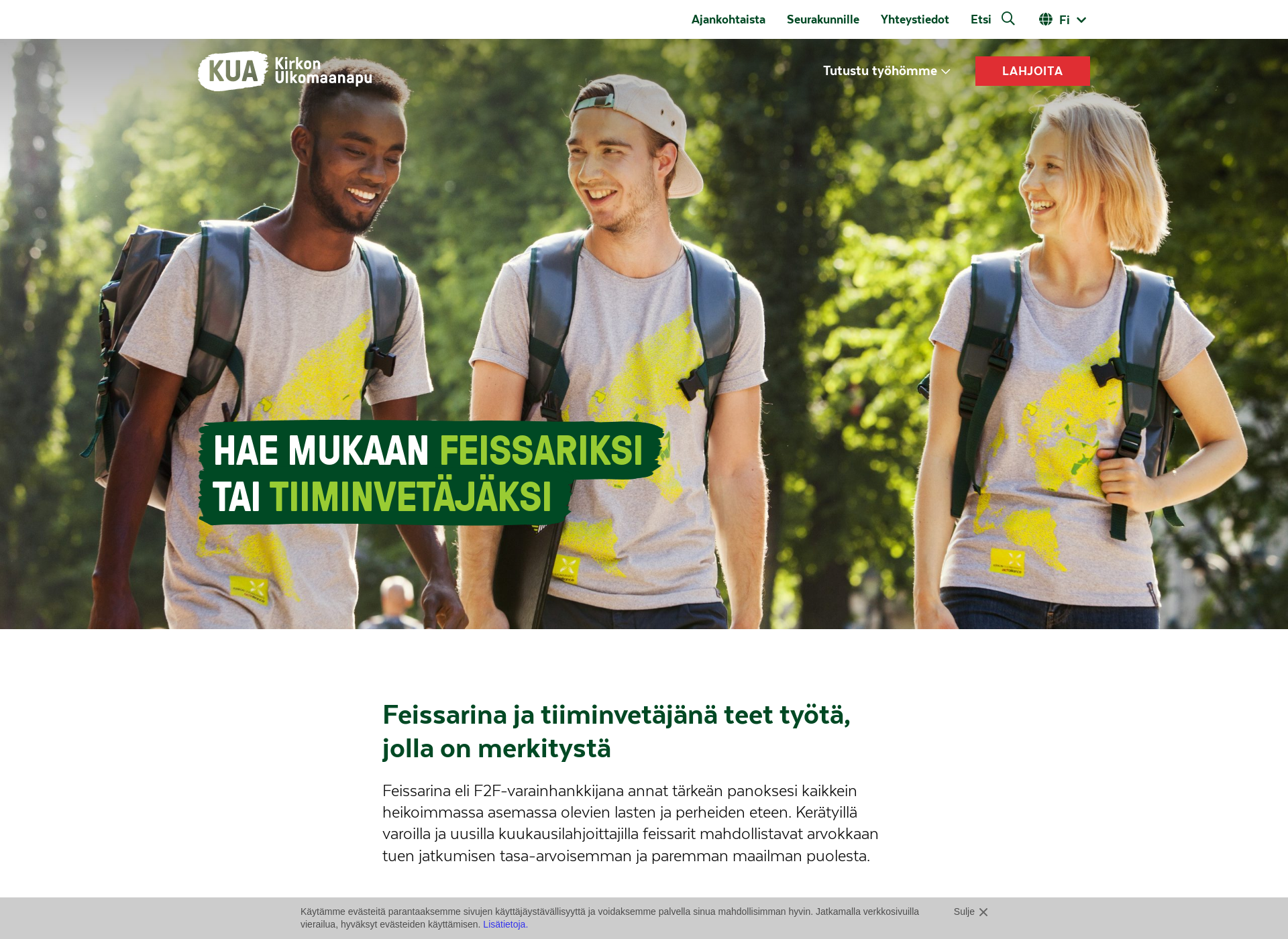 Screenshot for feissaus.fi