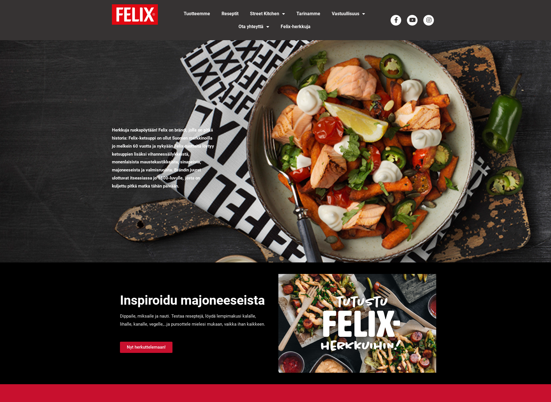 Skärmdump för felix.fi