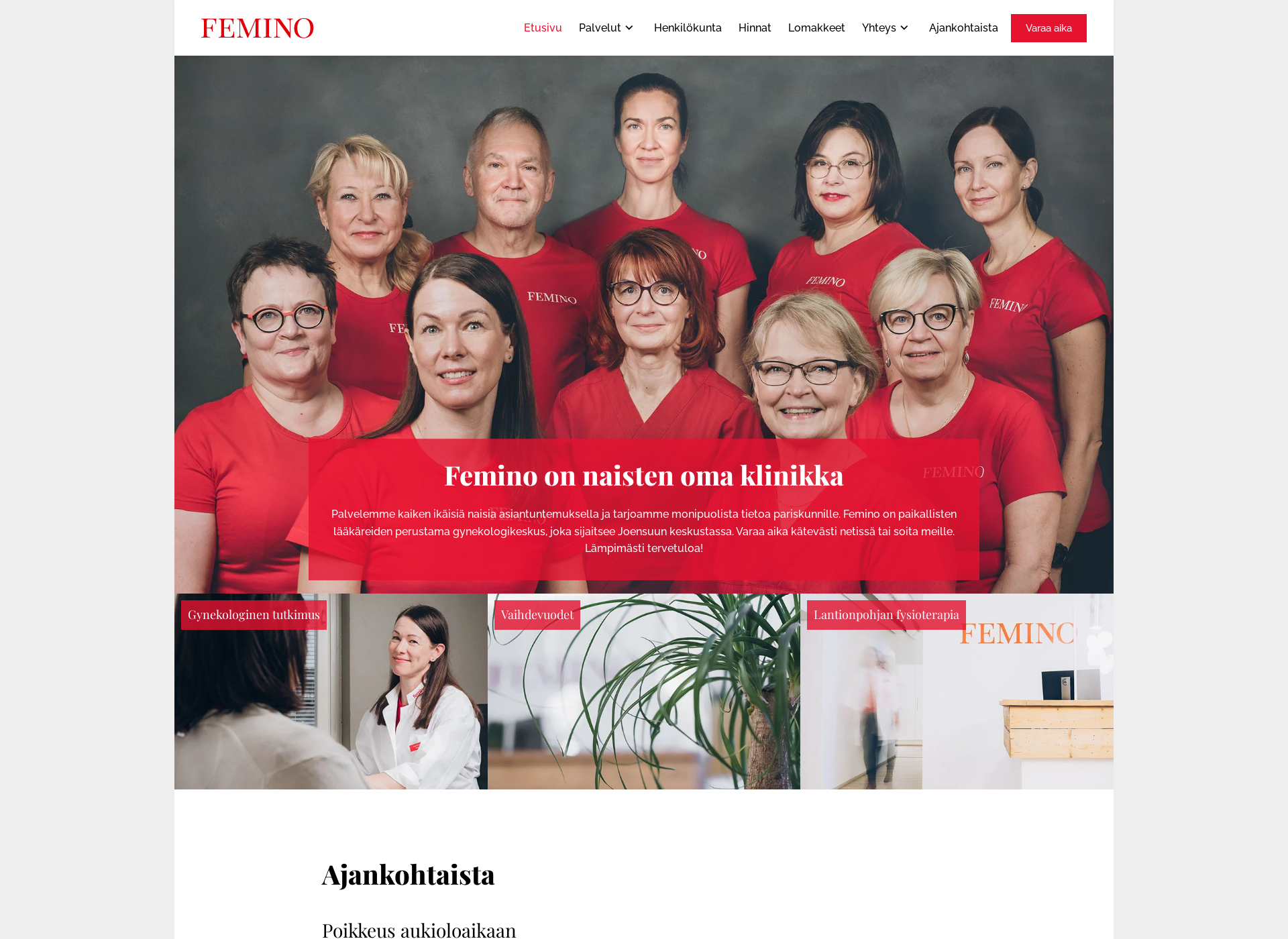 Skärmdump för femino.fi