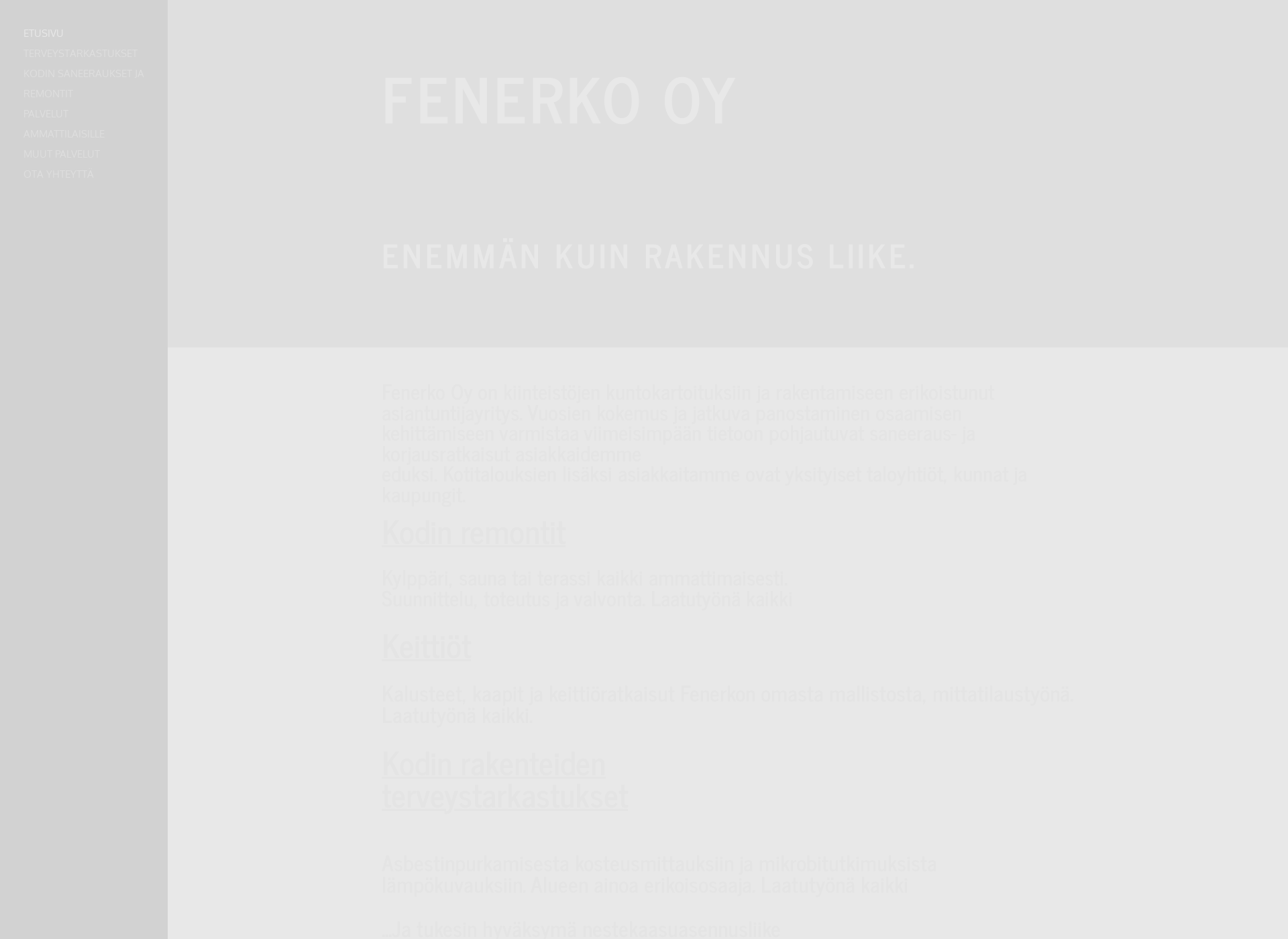 Screenshot for fenerko.fi