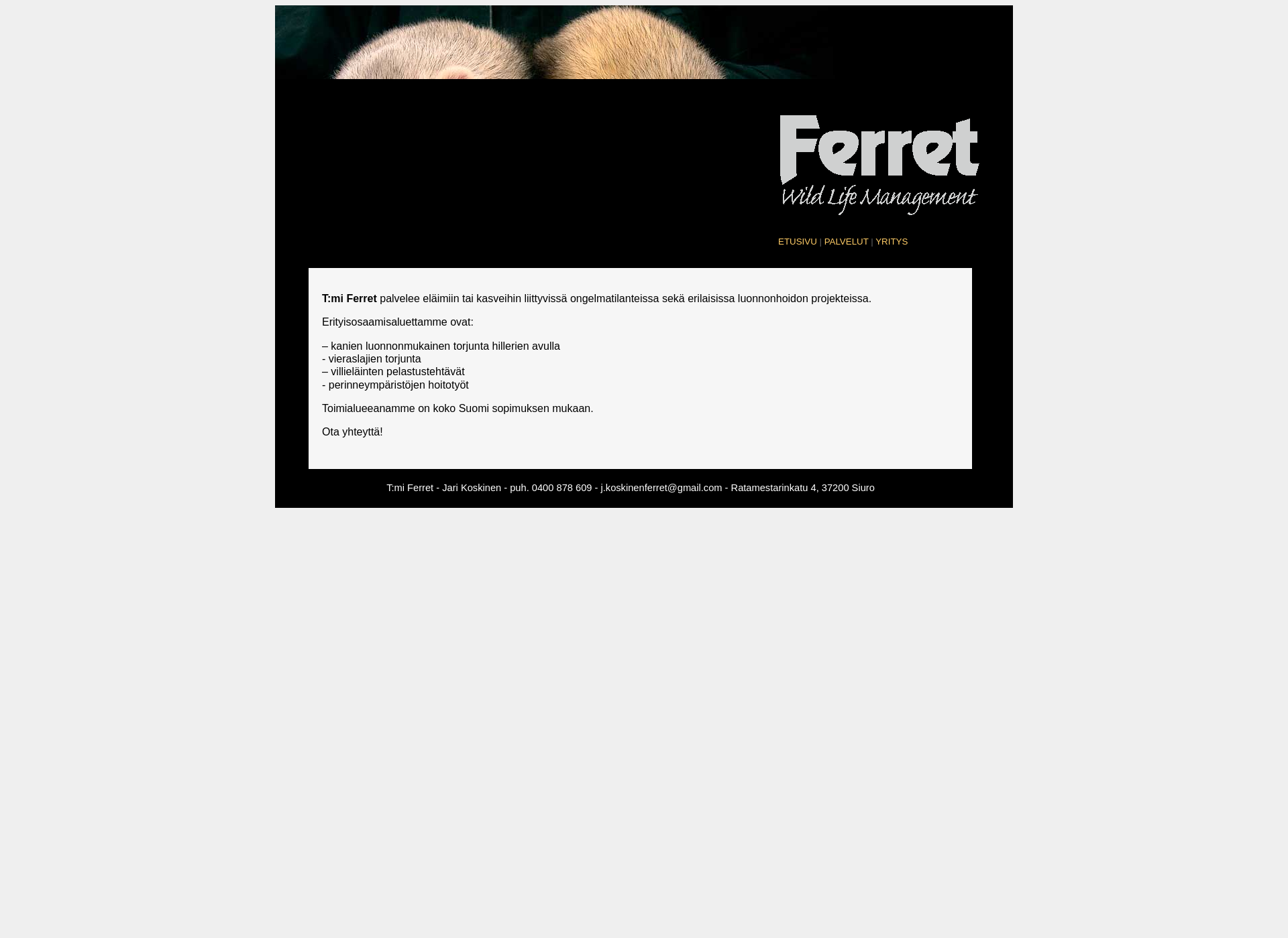 Screenshot for ferret.fi