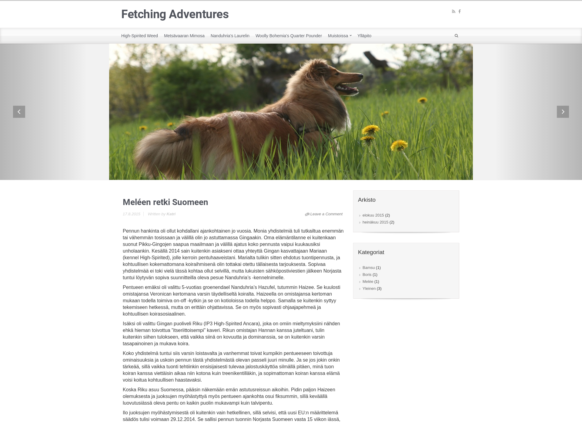 Screenshot for fetching-adventures.fi
