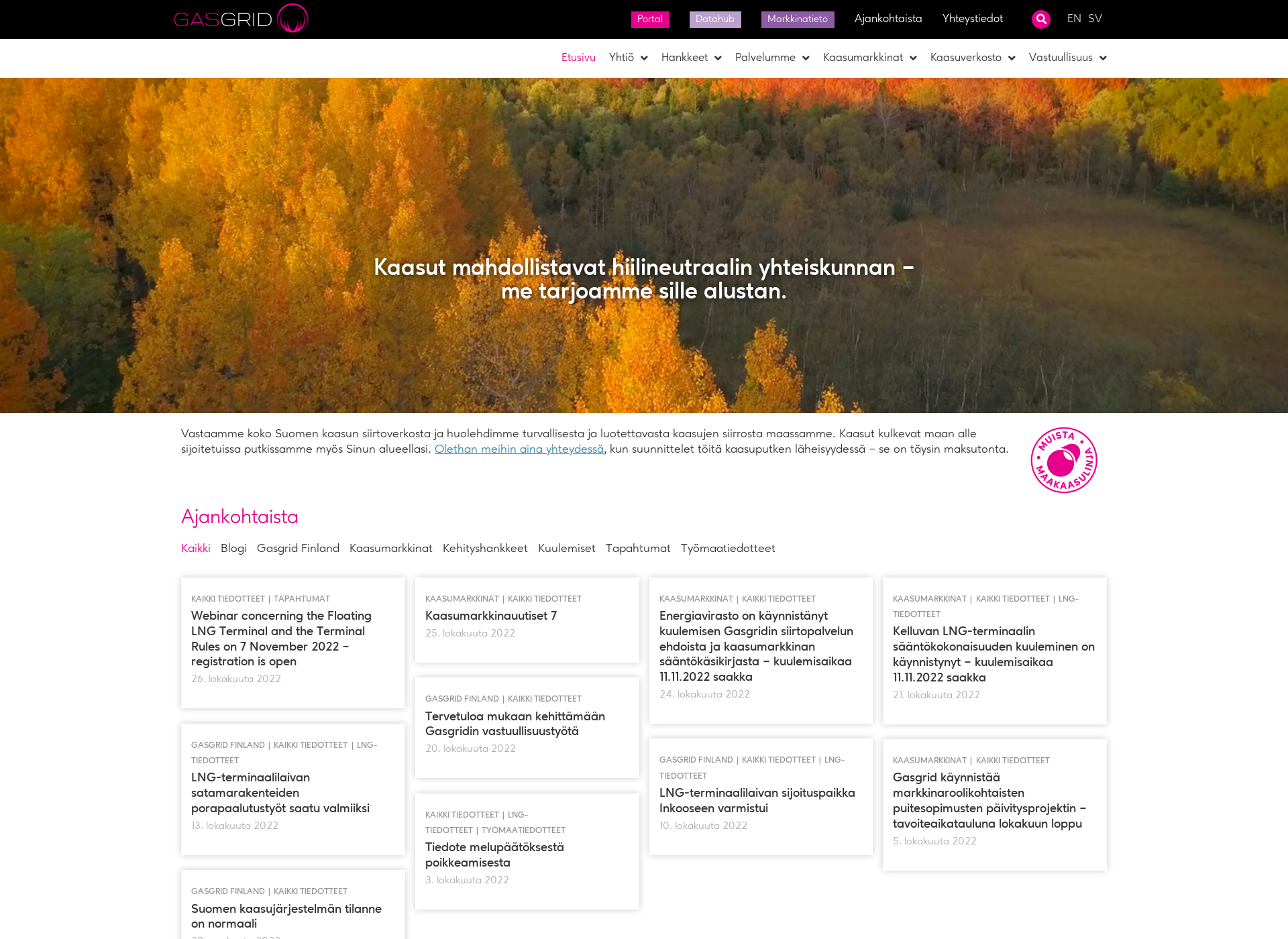 Screenshot for figas.fi