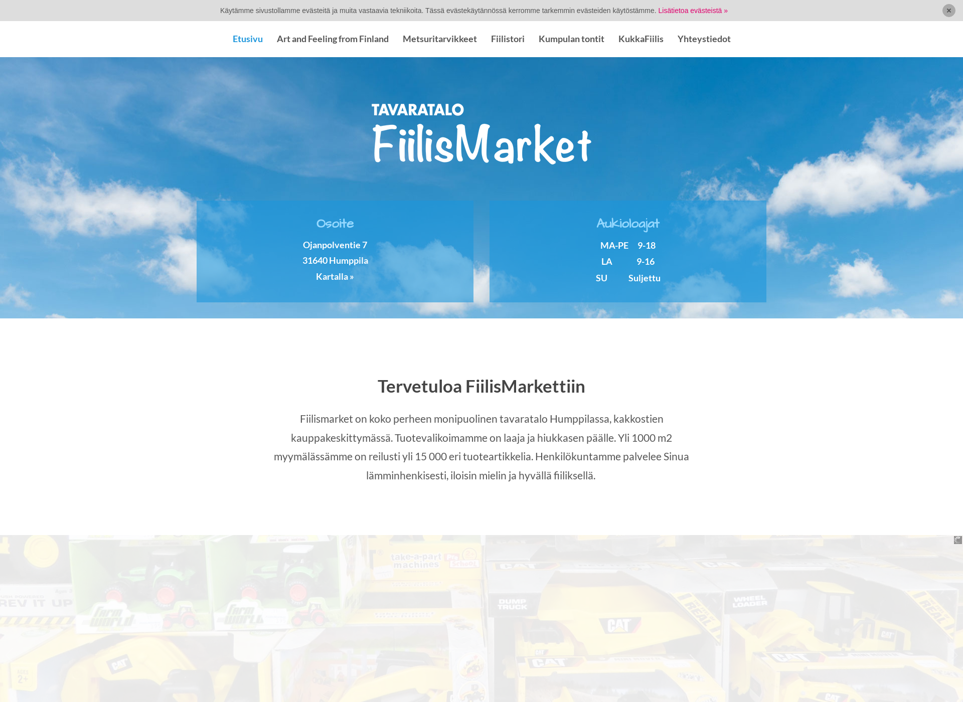 Screenshot for fiilismarket.fi