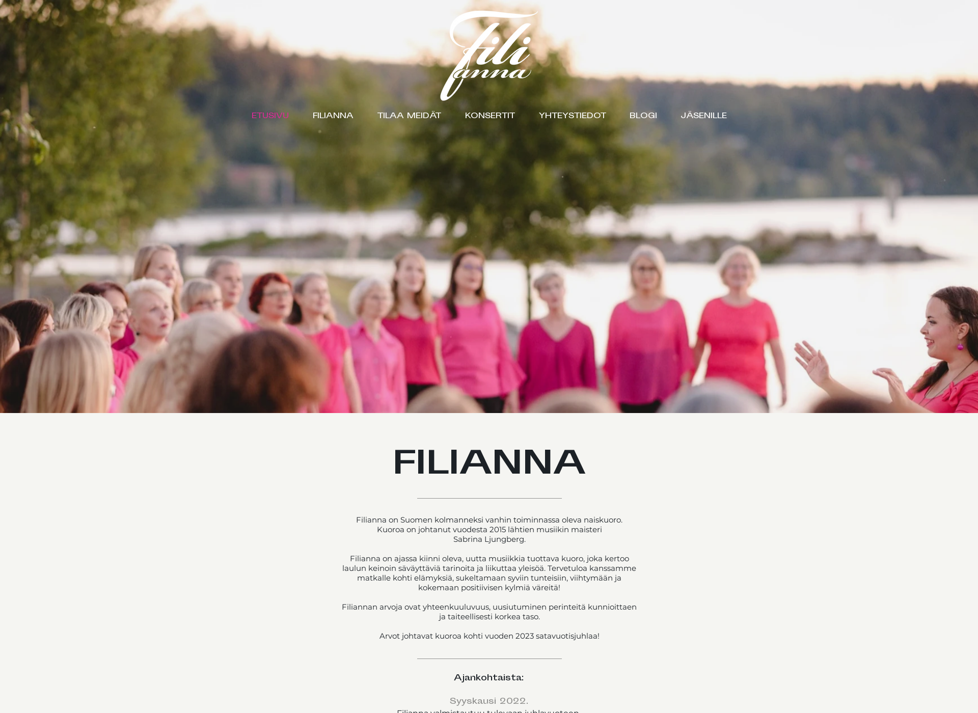 Screenshot for filianna.fi