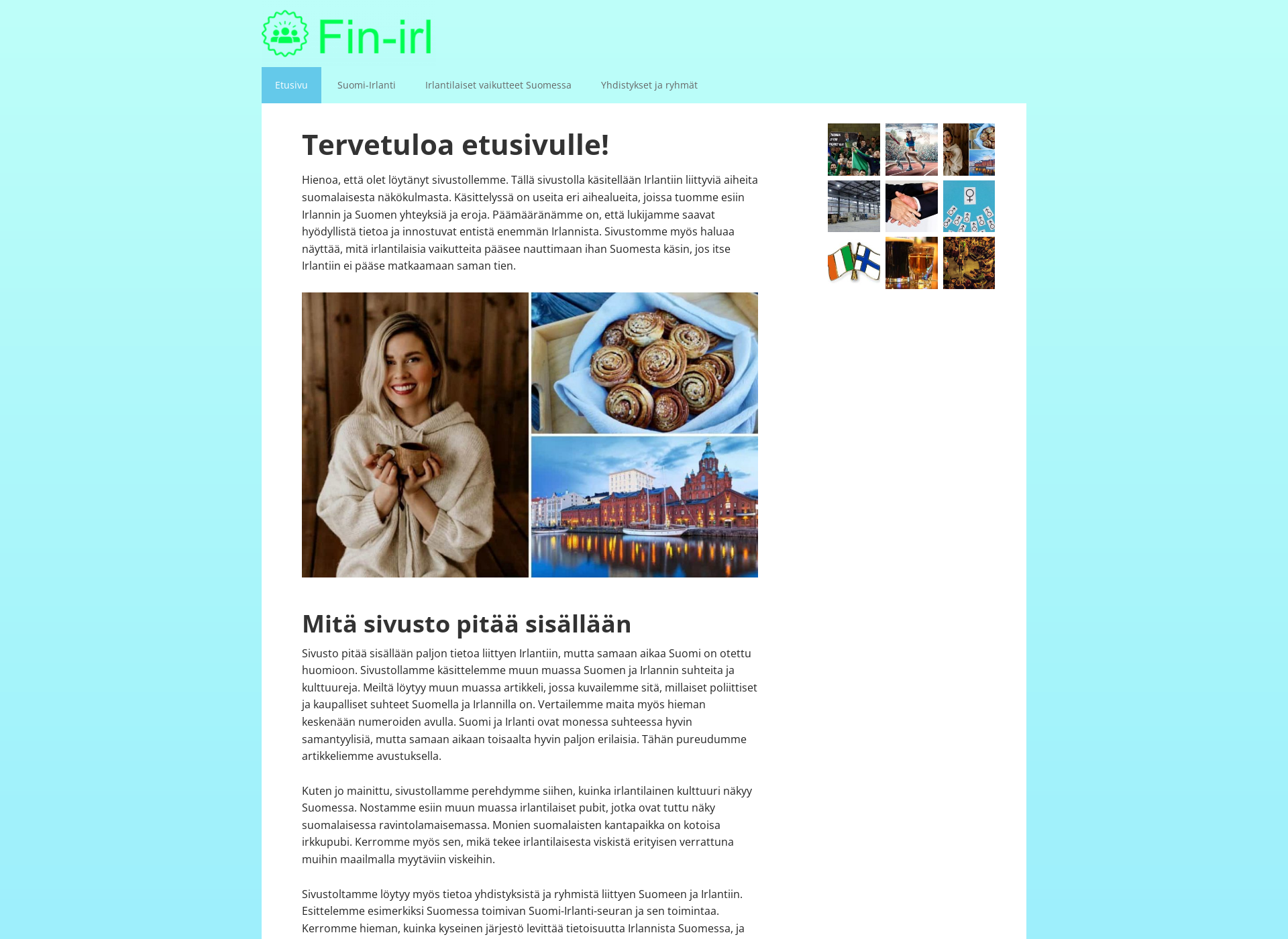 Skärmdump för fin-irl.fi