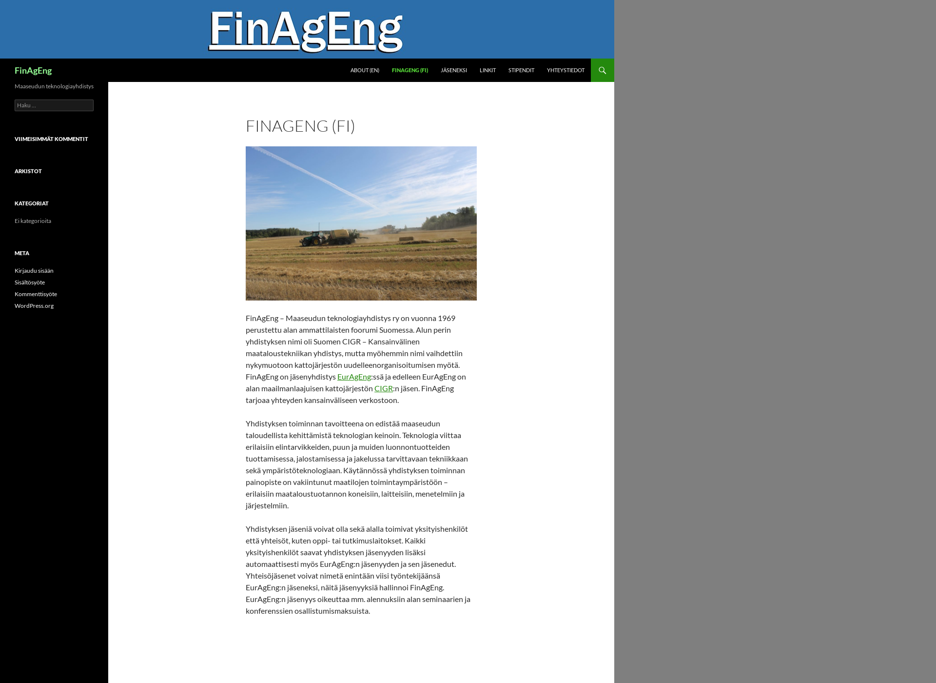 Screenshot for finageng.fi