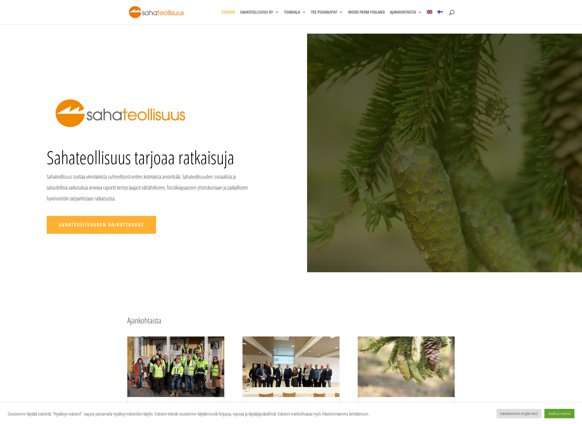 Screenshot for finnishsawmills.fi