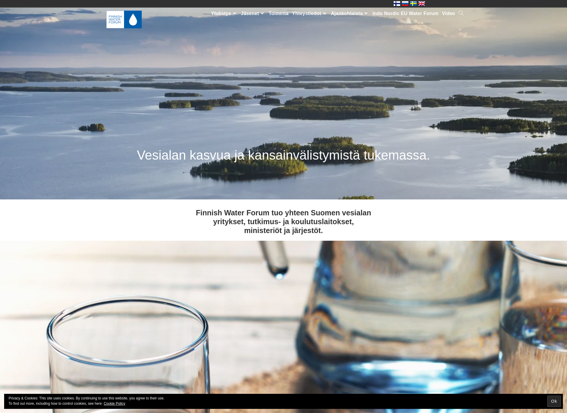 Screenshot for finnishwaterforum.fi