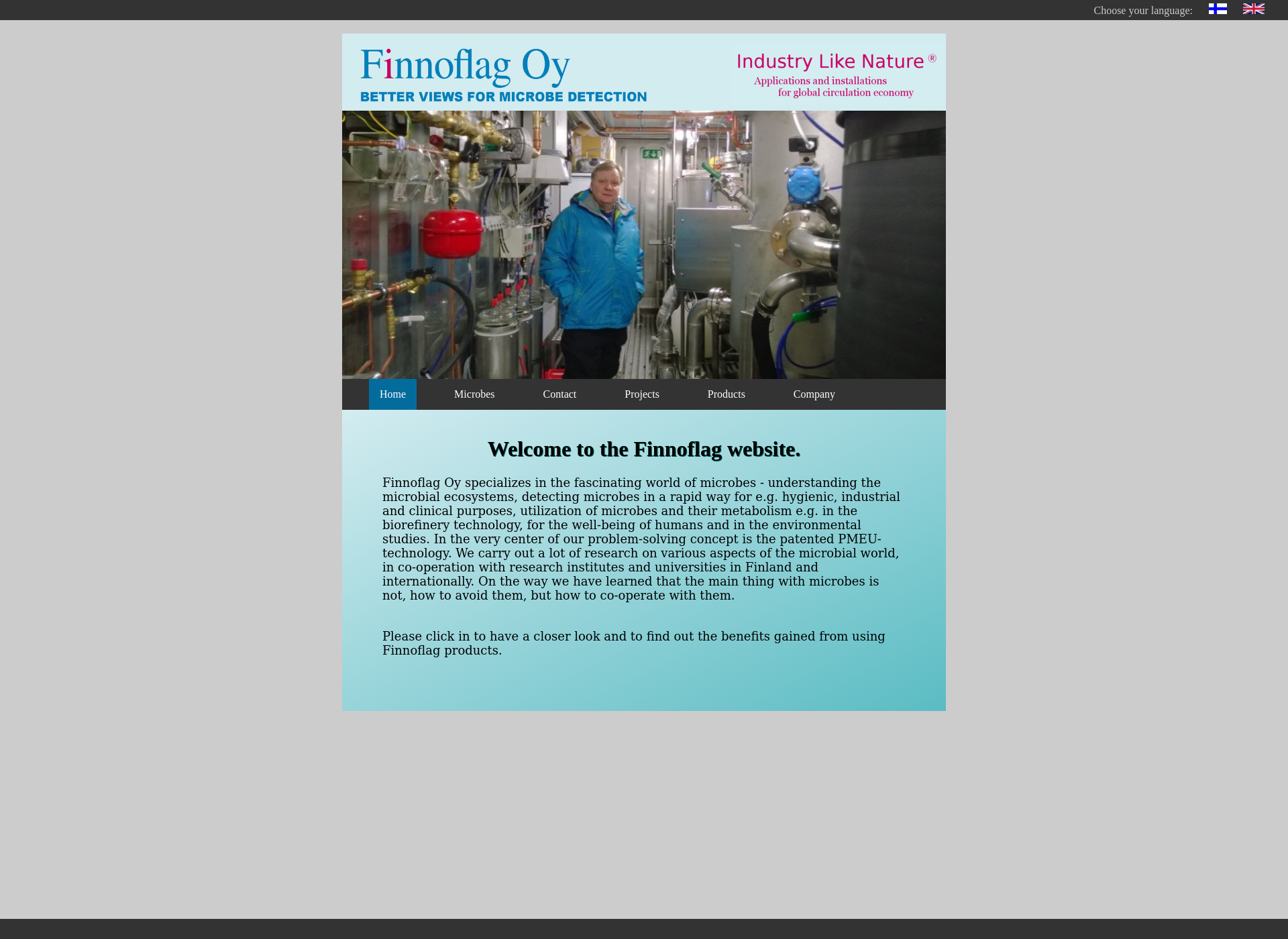 Screenshot for finnoflag.com