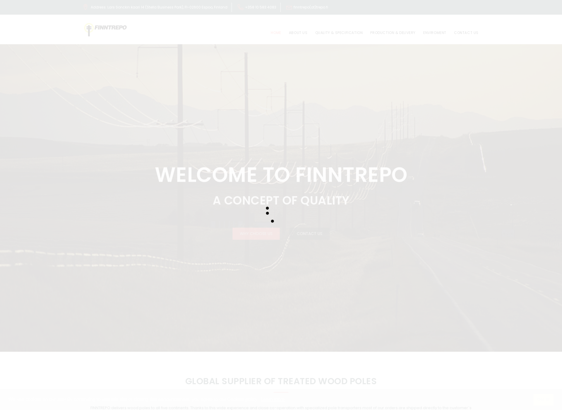 Screenshot for finntrepo.fi