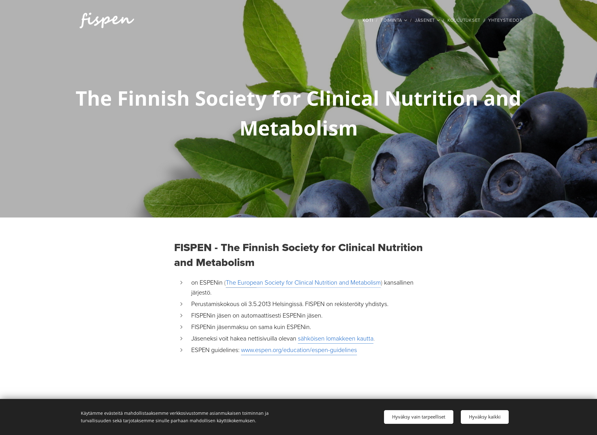 Screenshot for fispen.fi