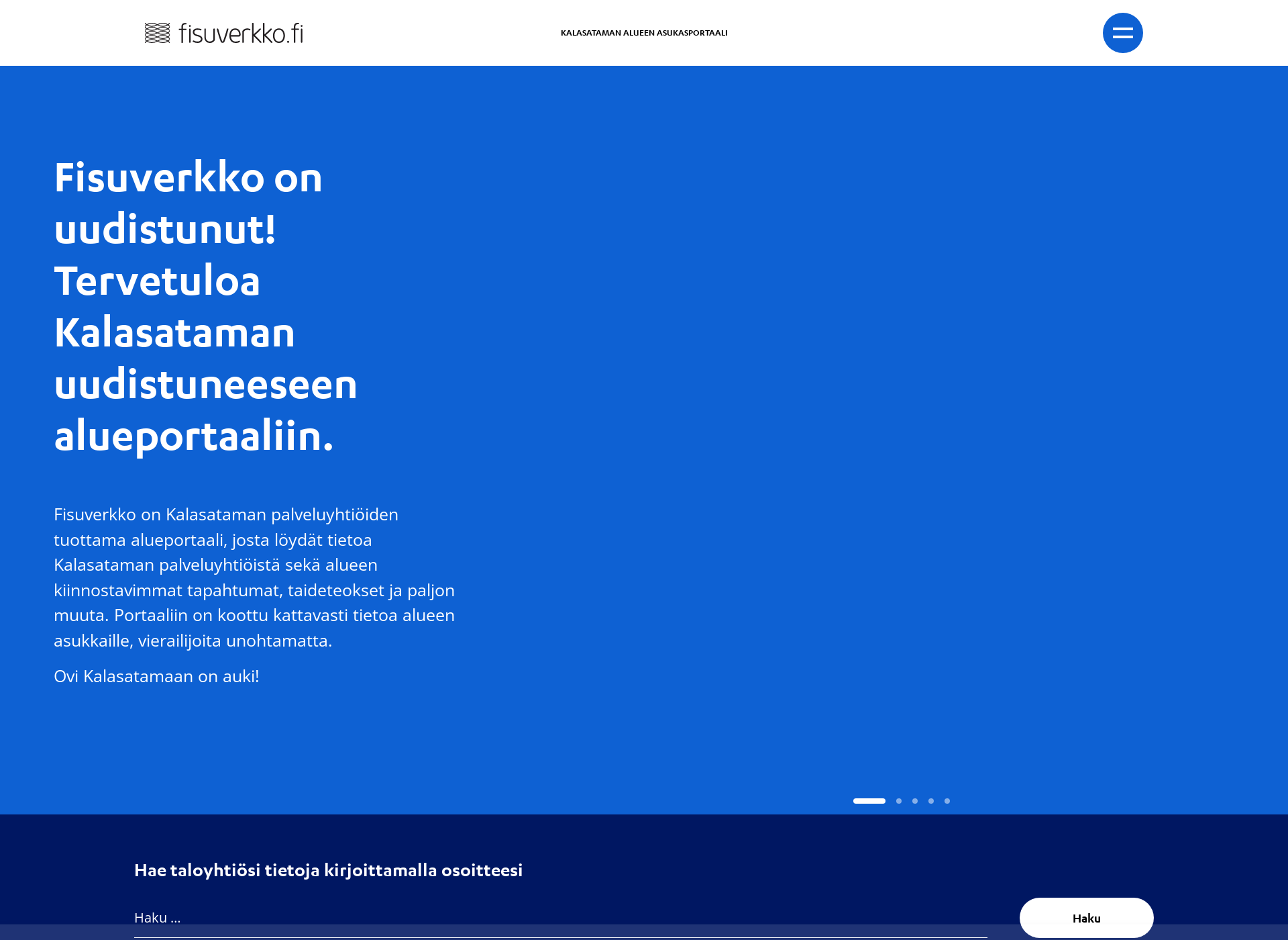 Screenshot for fisuverkko.fi