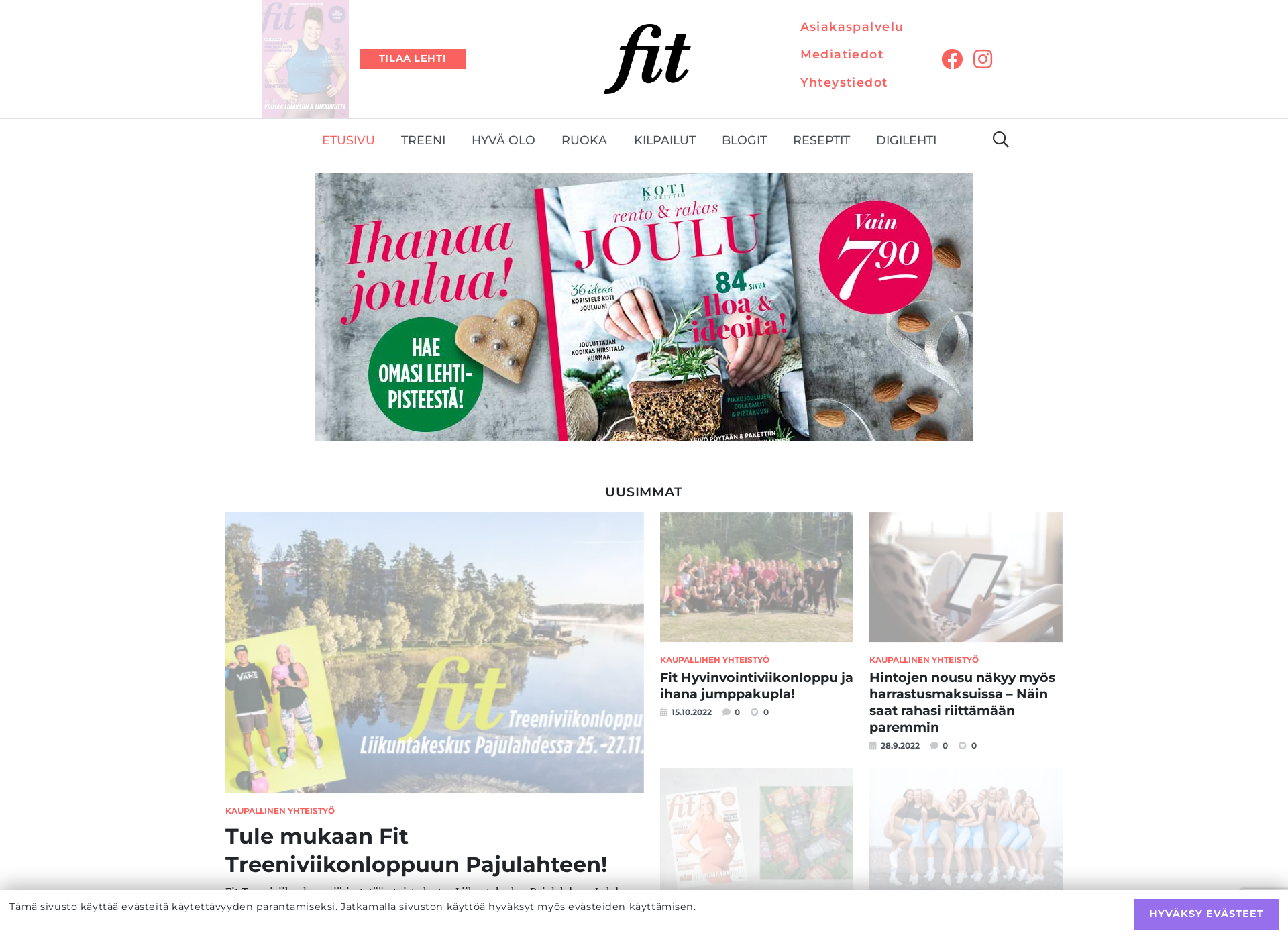 Skärmdump för fit.fi