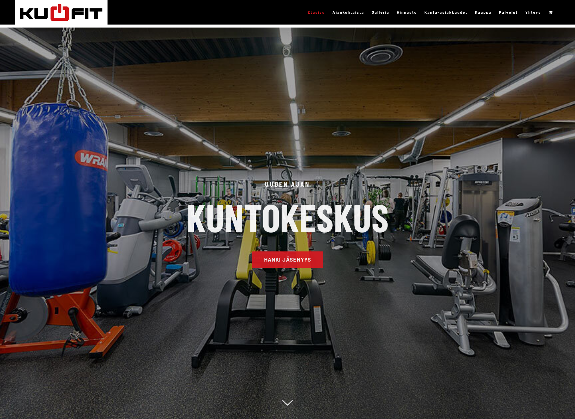 Skärmdump för fitkuopio.fi