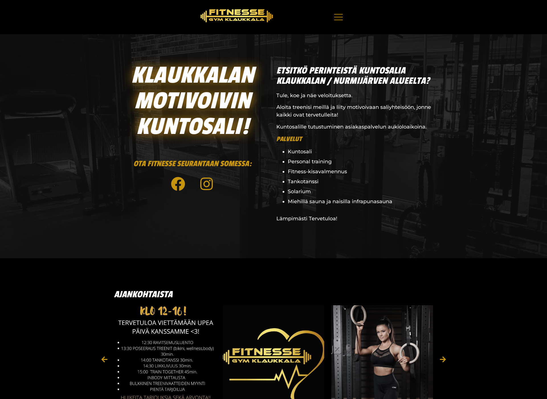 Skärmdump för fitnesse.fi