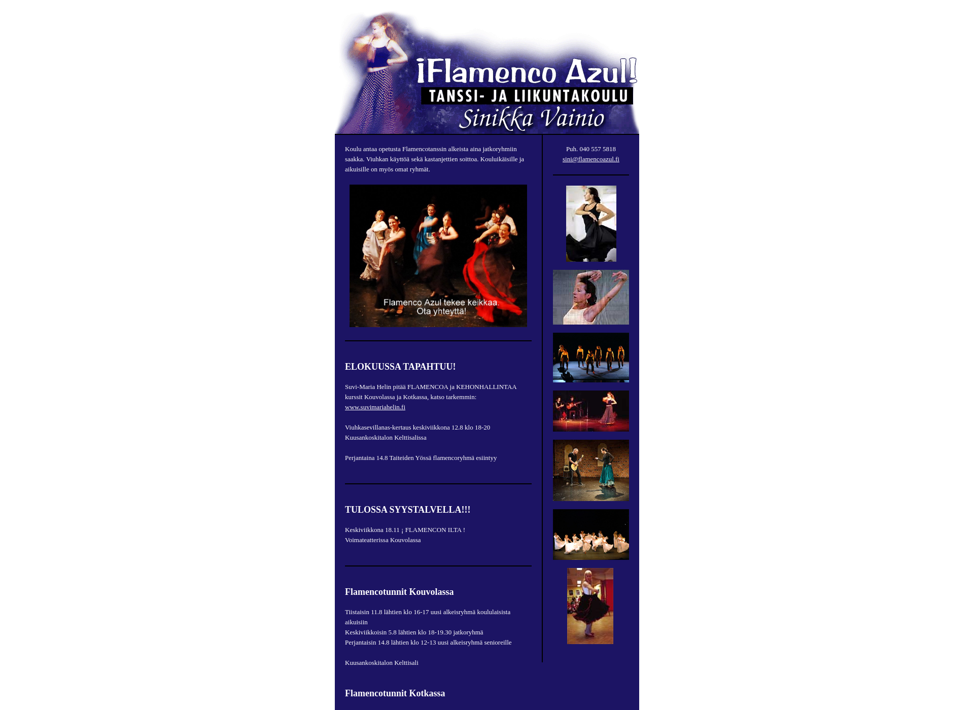 Screenshot for flamencoazul.fi