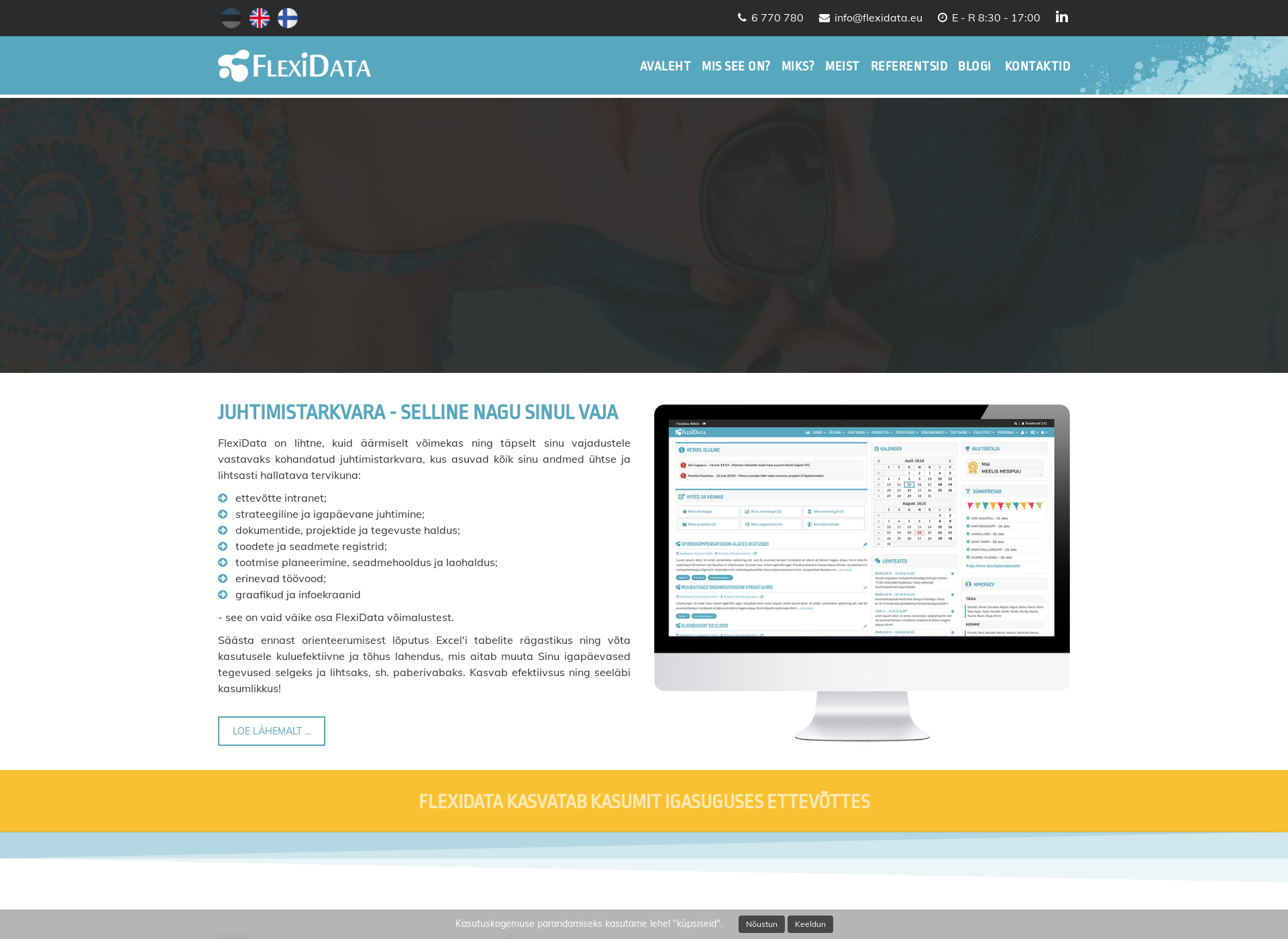 Screenshot for flexidata.fi