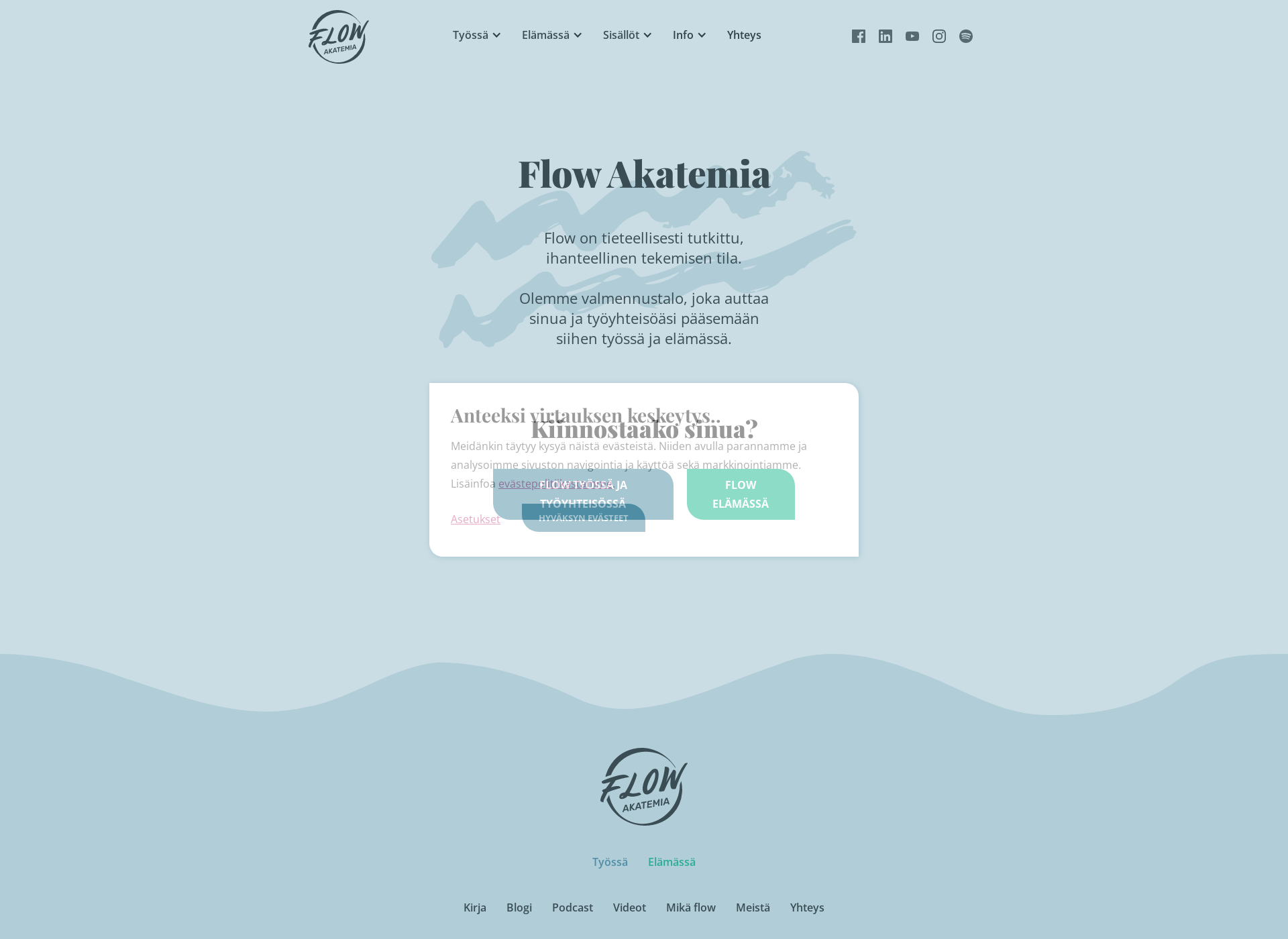 Screenshot for flow-akatemia.fi