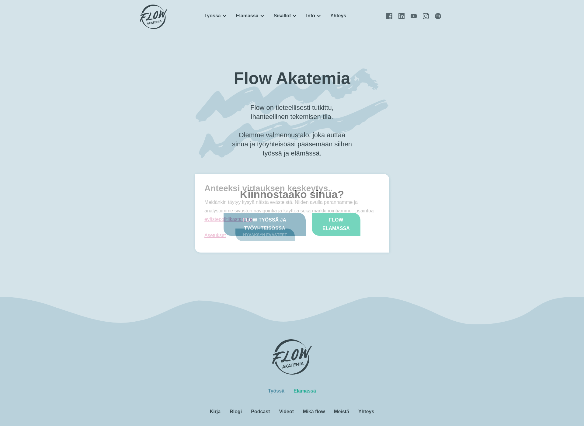 Skärmdump för flow-tila.fi
