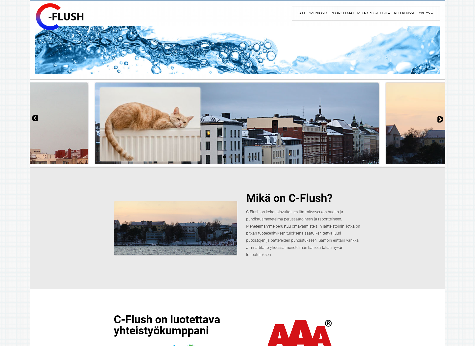Skärmdump för flush.fi