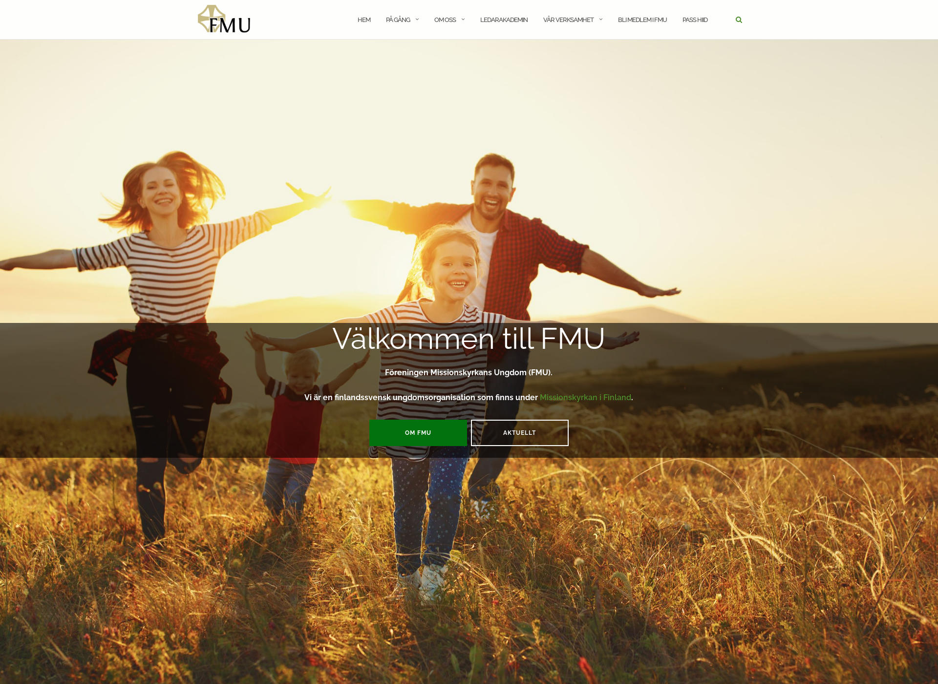 Screenshot for fmu.fi