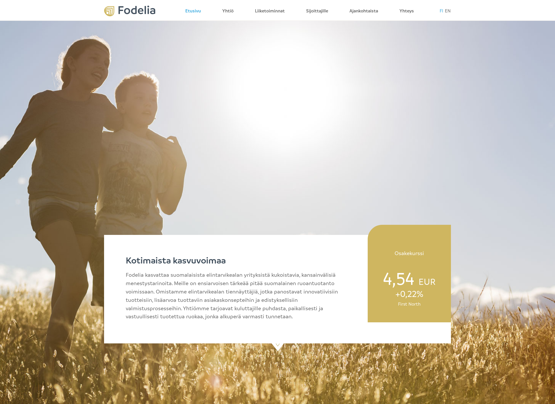Screenshot for fodelia.fi
