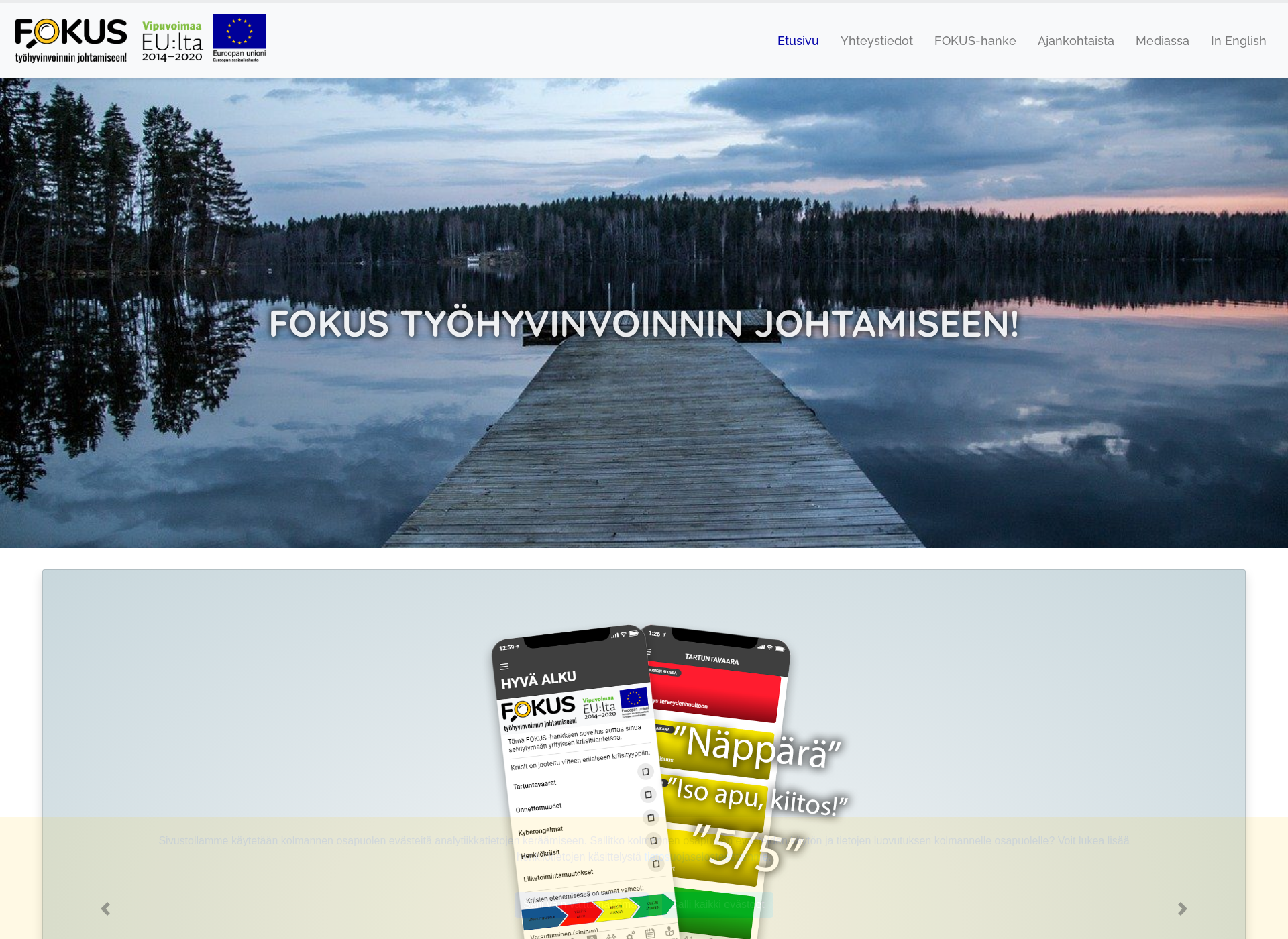 Screenshot for fokukseen.fi