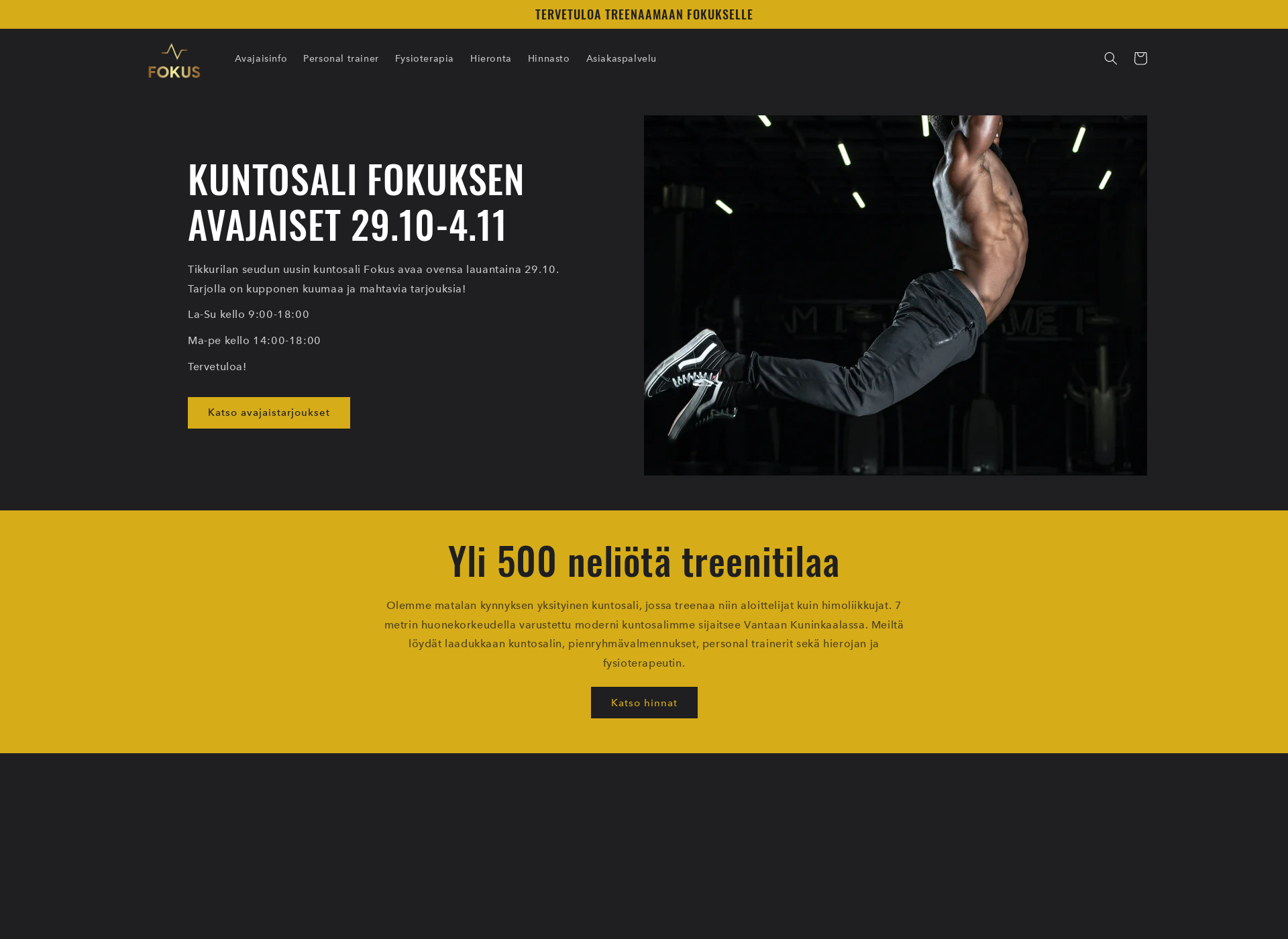 Screenshot for fokustiksi.fi