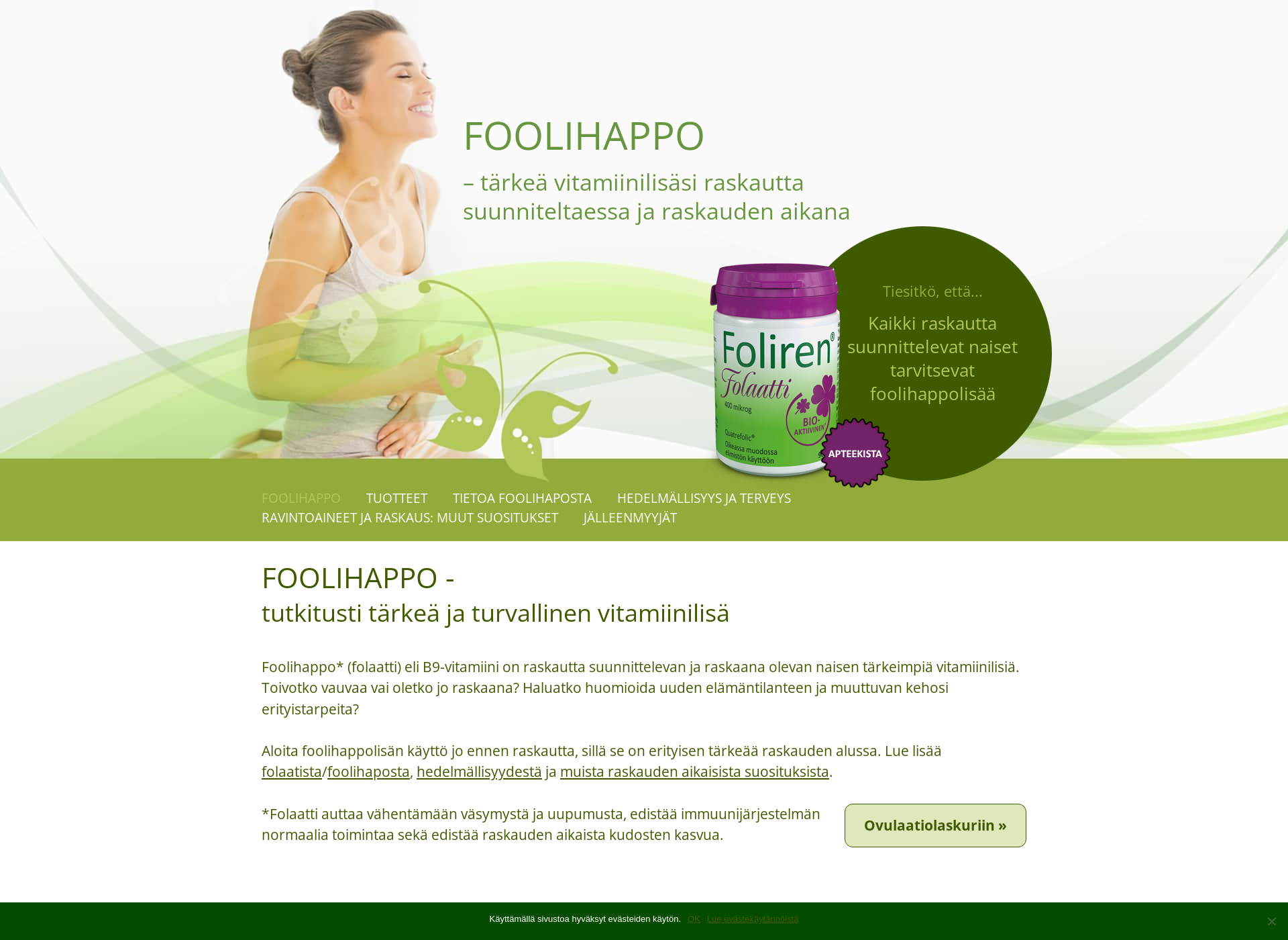 Screenshot for foolihappo.fi