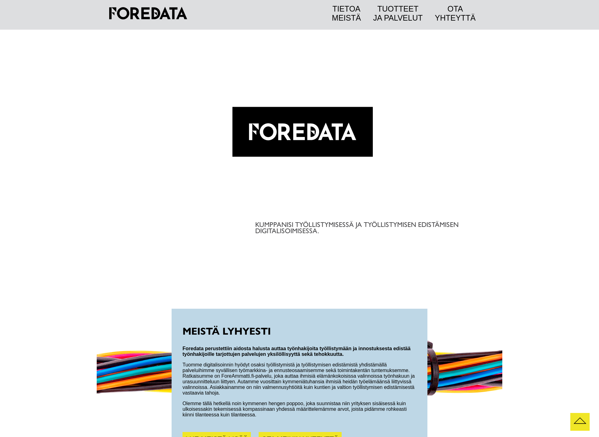 Screenshot for foredata.fi